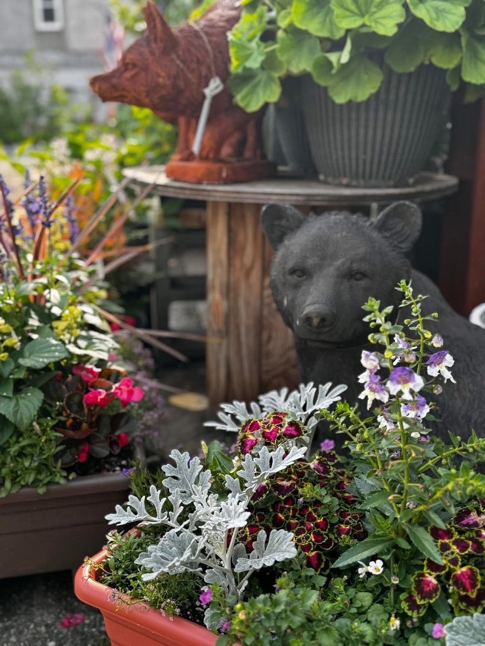 A garden scene with various flowering plants in pots. In the background, there is a concrete bear sculpture. A large pot of mixed annual flowers is also visible.