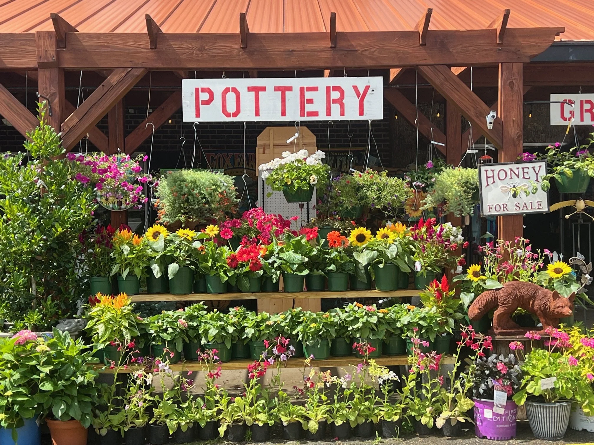 Display of colorful flowers and plants at a garden center with a sign that says "Pottery" and another sign that says "Honey for Sale."