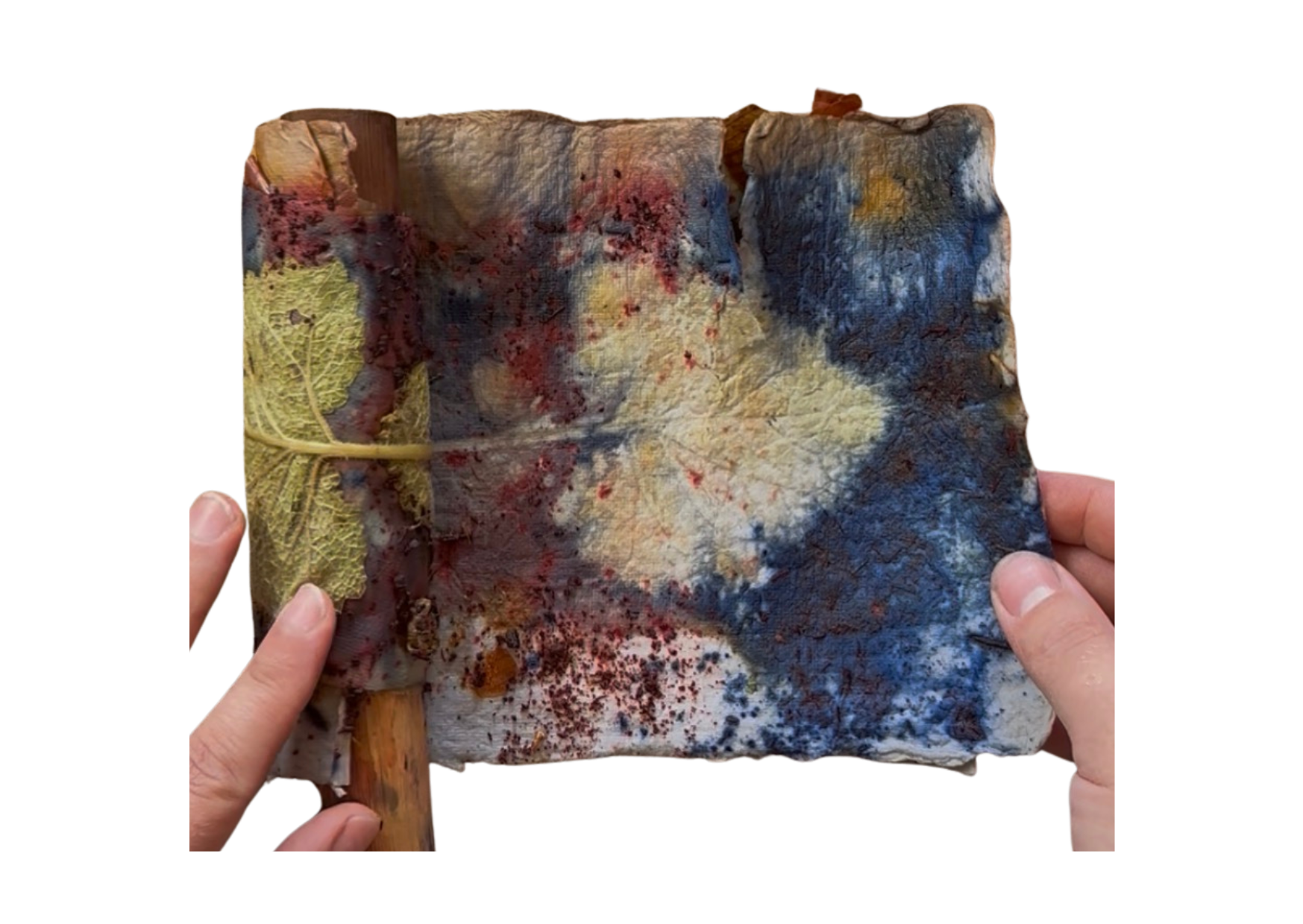 Ecoprint+entrollen+Foto.png