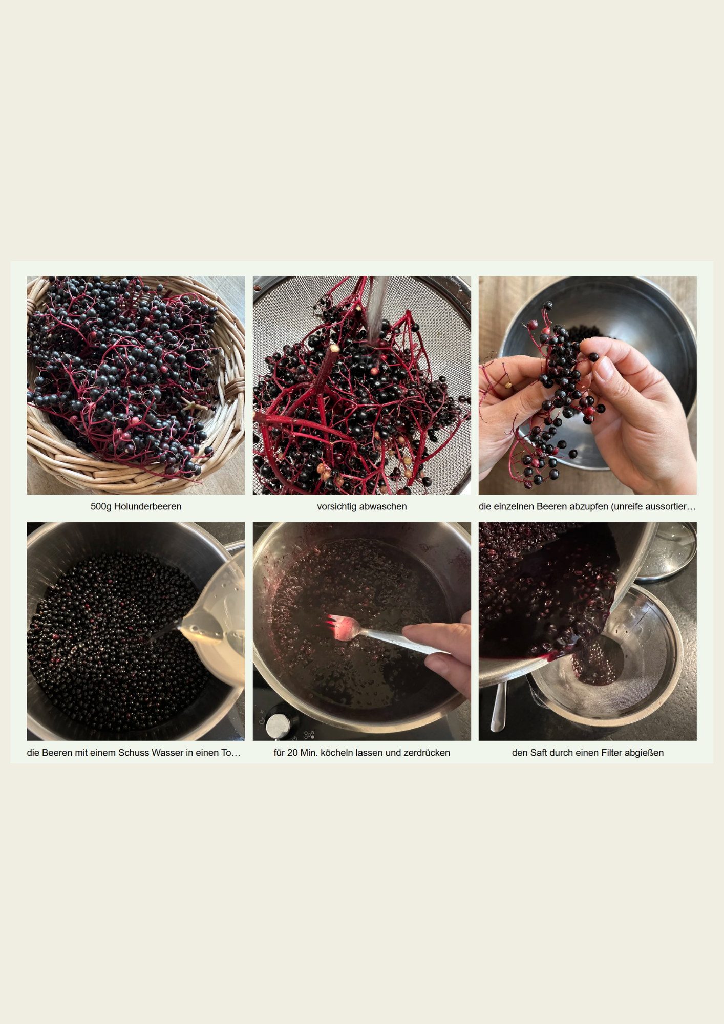 Holunderbeeren digitaler Kaninchenbau.png