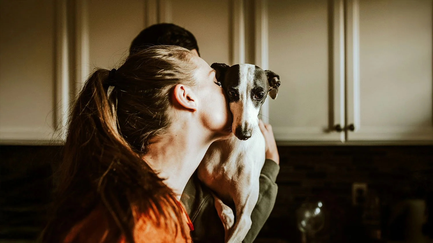 The Best Website Layouts for Pet Care Businesses in 2026