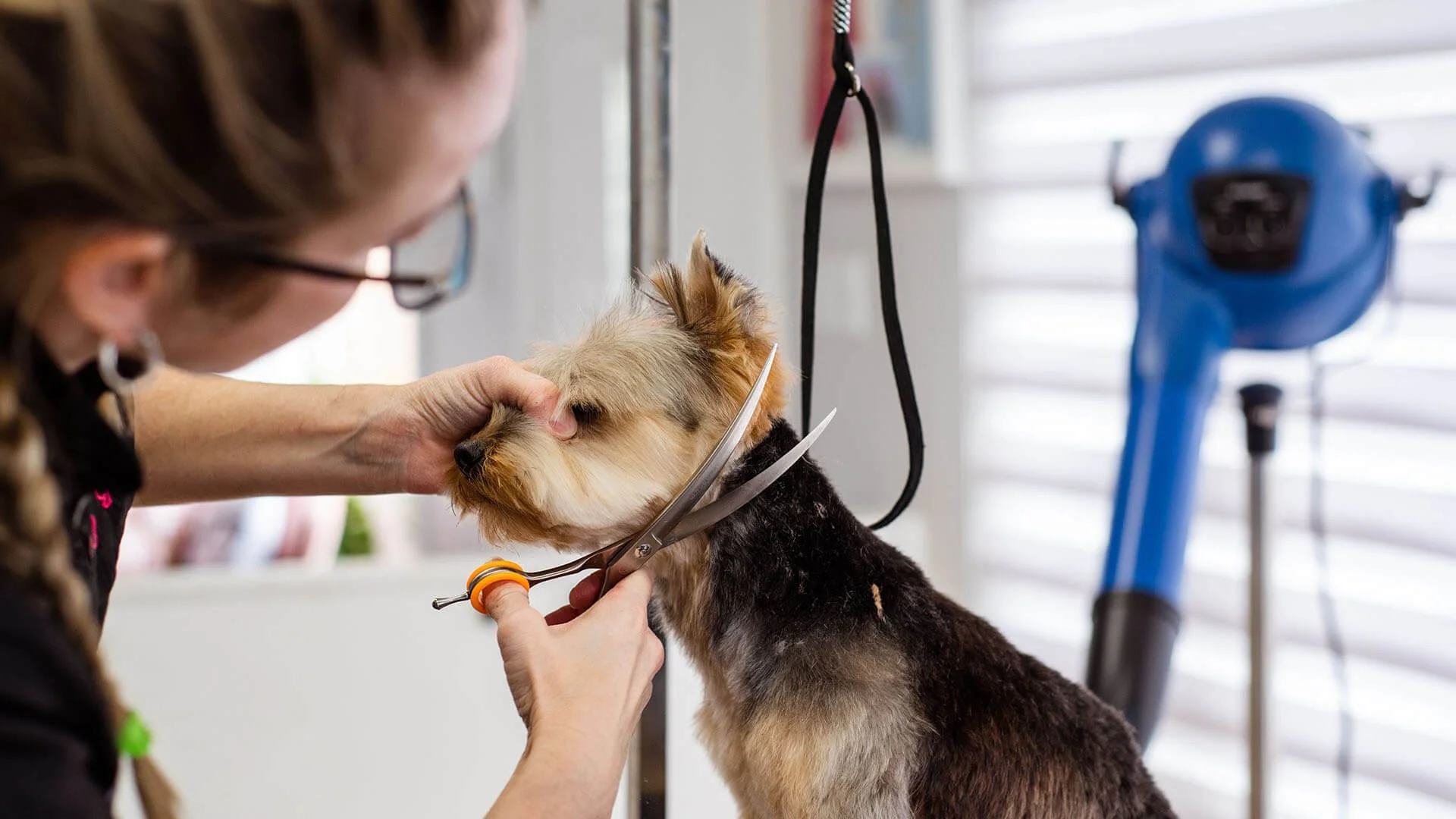 Squarespace vs. booking-app-only websites for grooming salons