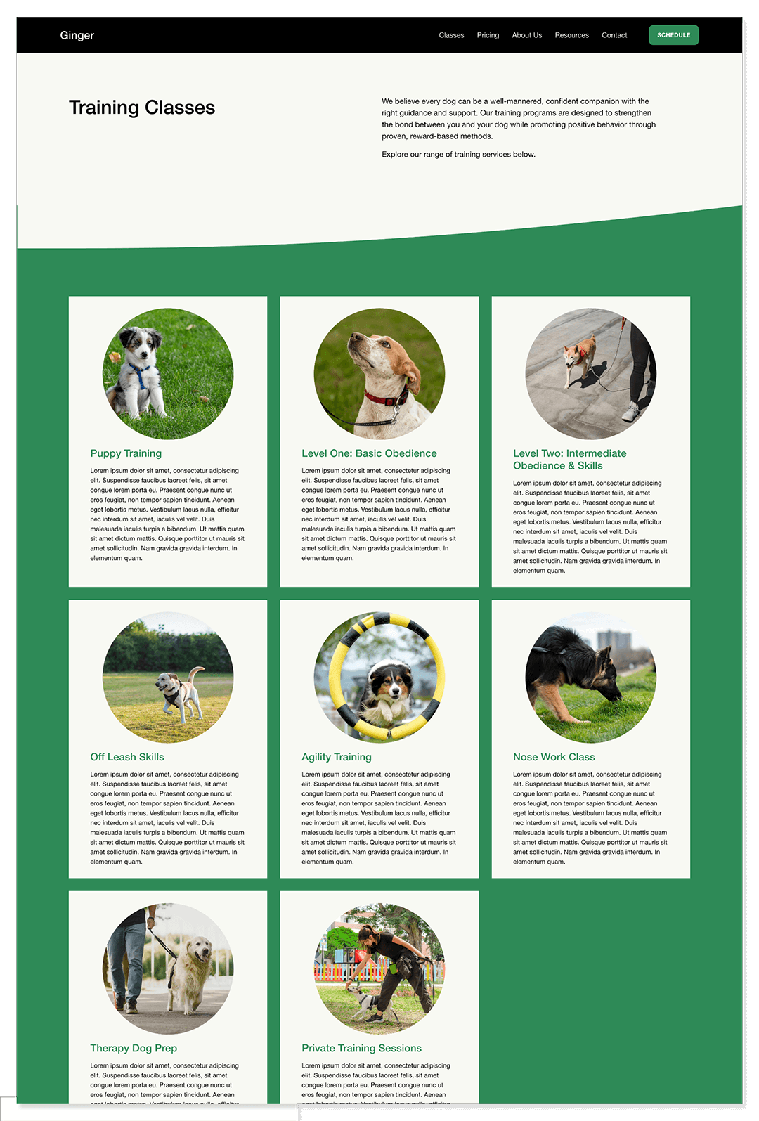 ginger-template-classes-no-pricing