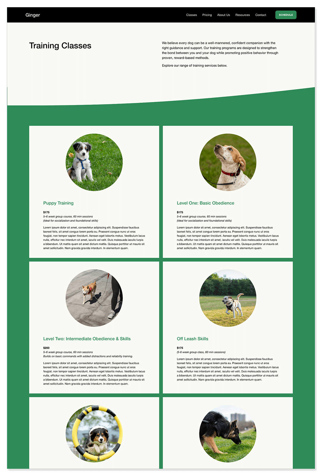 ginger-template-classes-pricing