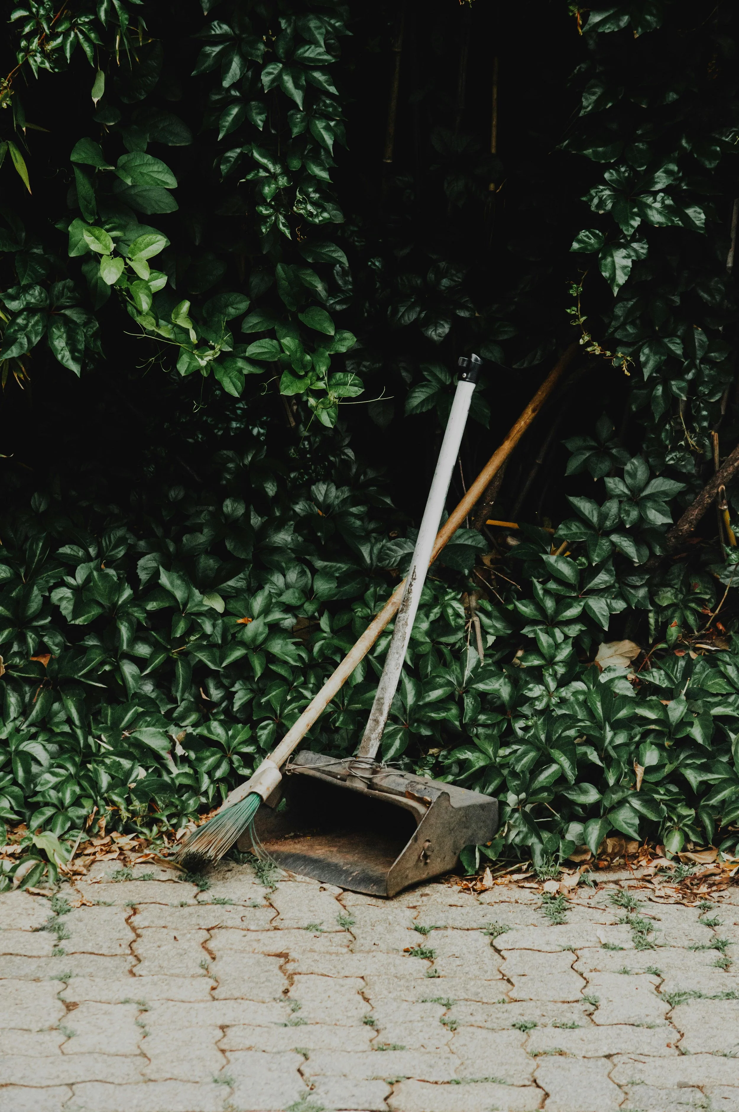 An outdoor scene with a broom and dustpan leaning against green bushes on a paved surface.