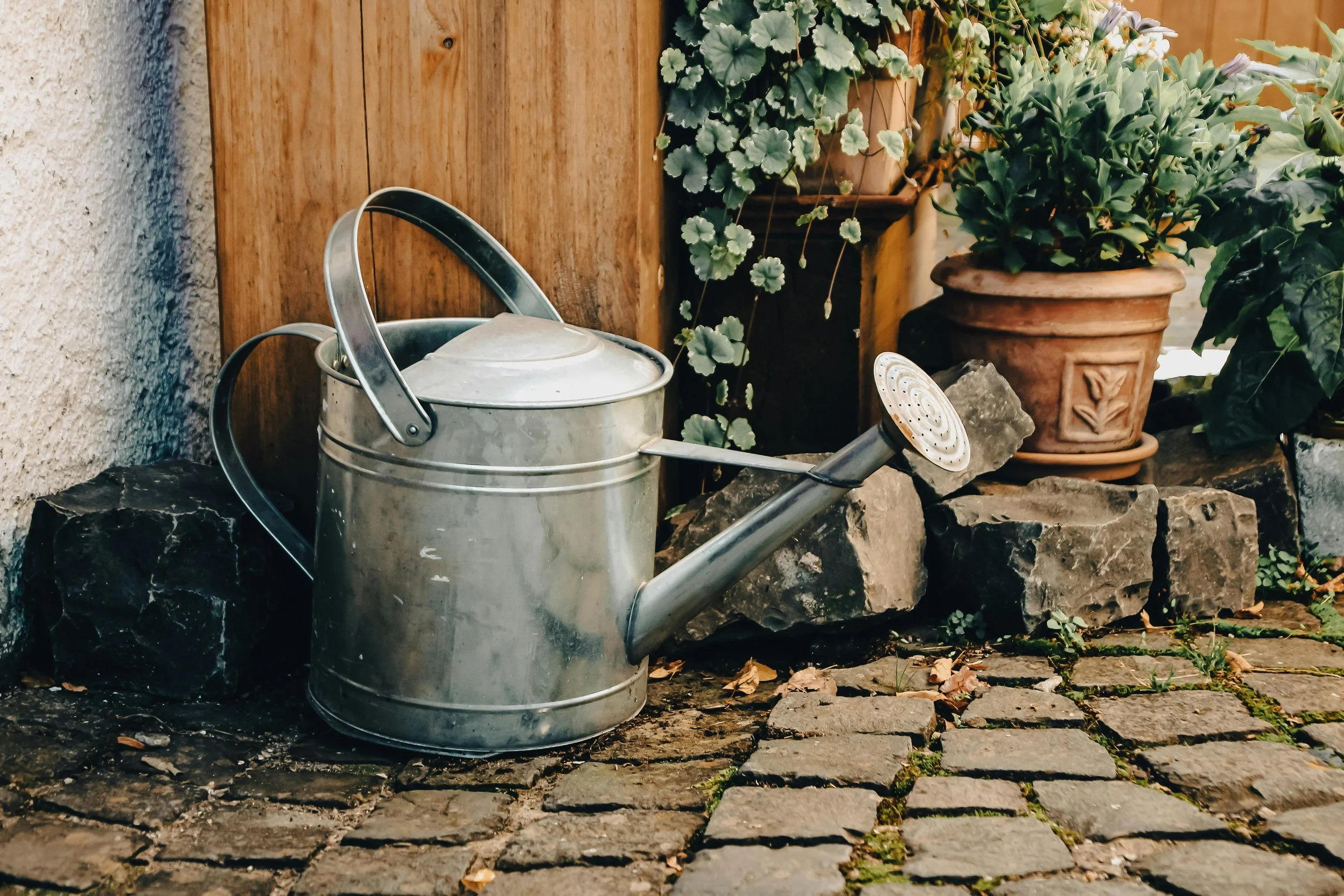A silver metal watering can resting on a stone-paved ground next to a wooden wall and various potted plants.