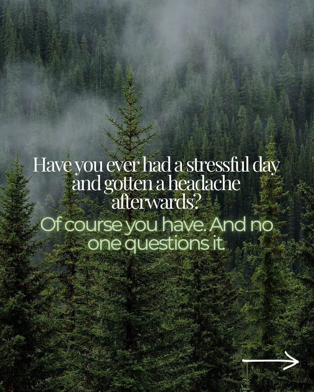 ✨ Have you ever had a stressful day and ended up with a headache?
I&rsquo;m sure you have &mdash; and no one questions it. We all know stress impacts the body.

What&rsquo;s wild is that stress is just one example of the mind-body connection. It&rsqu