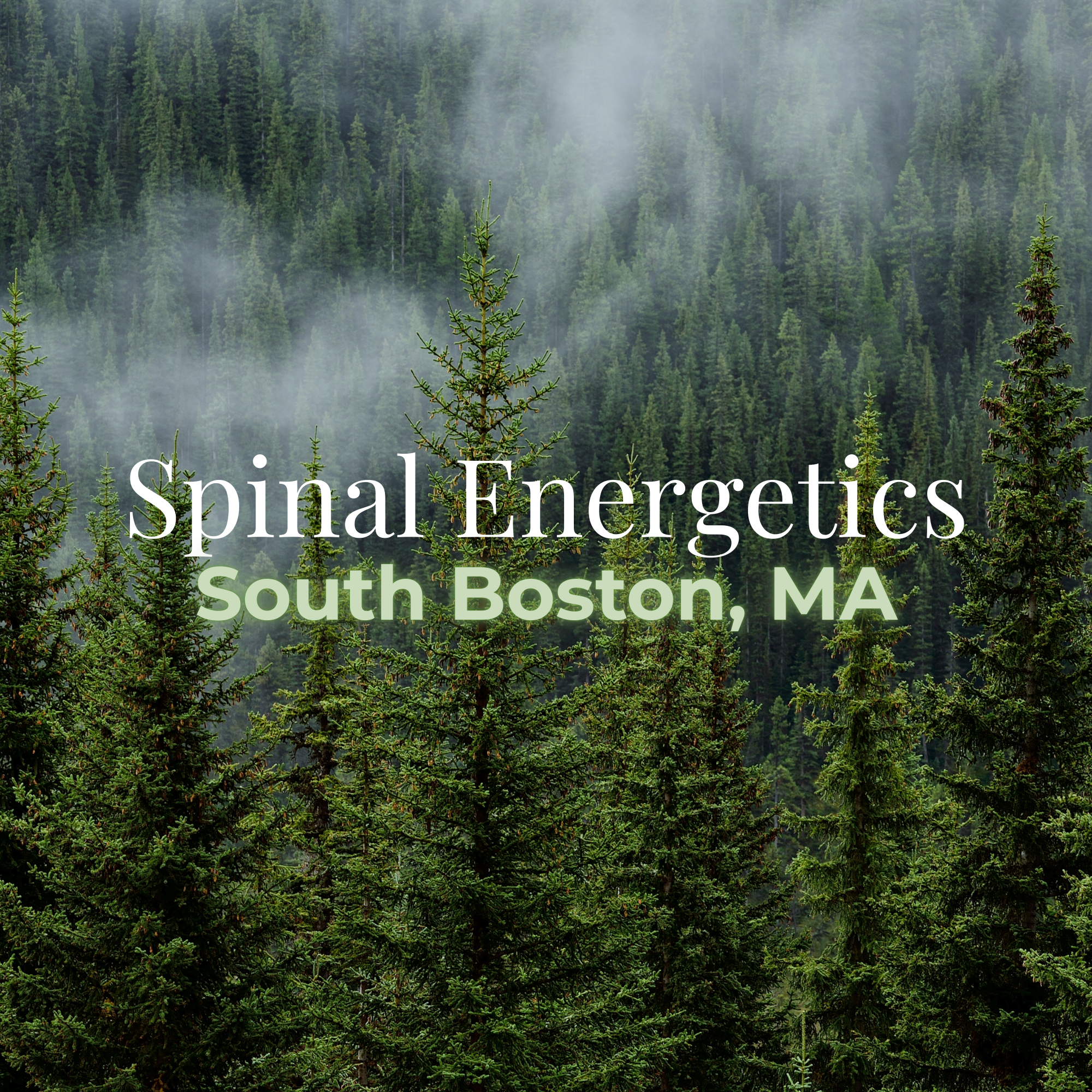 BOSTON- Group Spinal Energetics Event