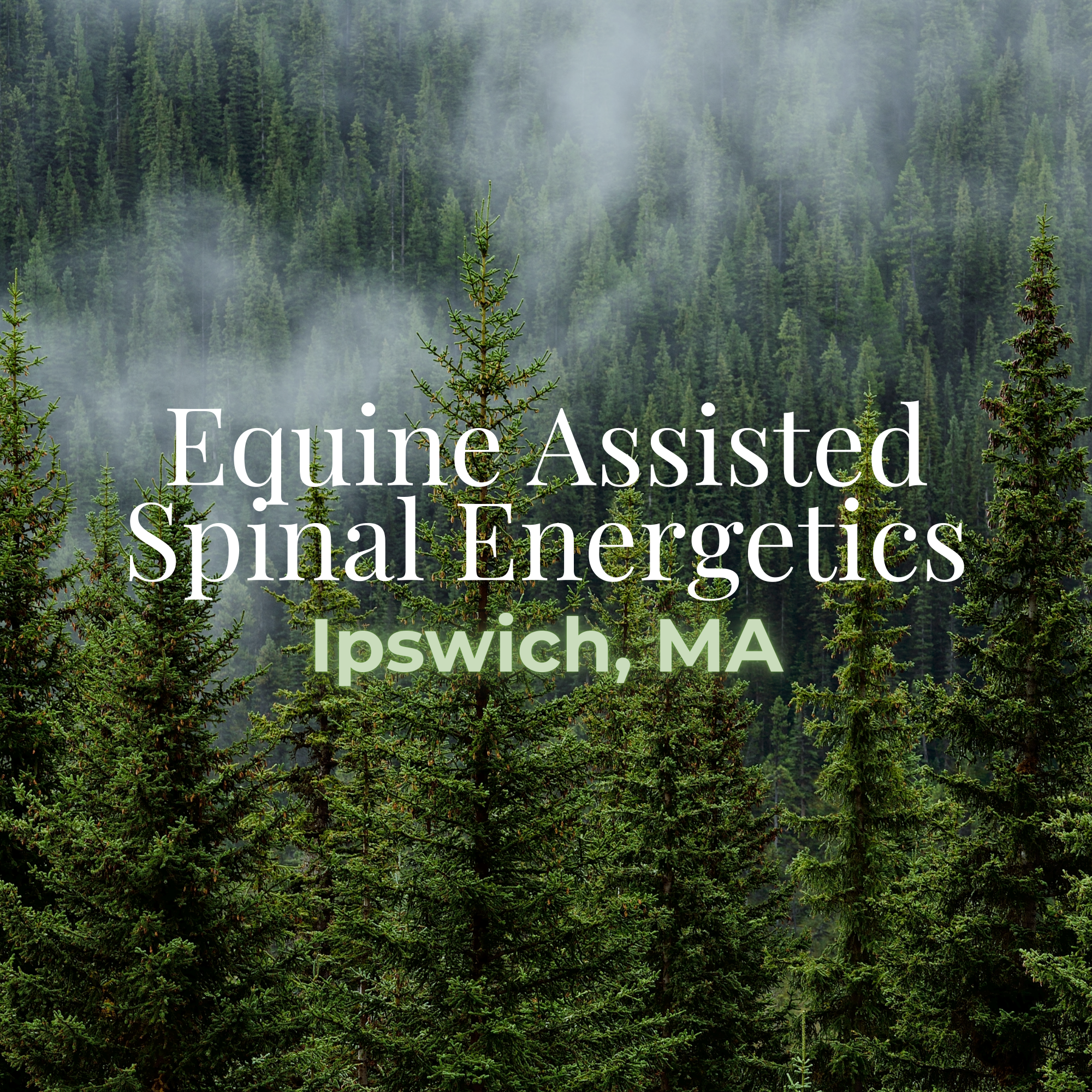 IPSWICH - Equine Assisted Learning + Spinal Energetics
