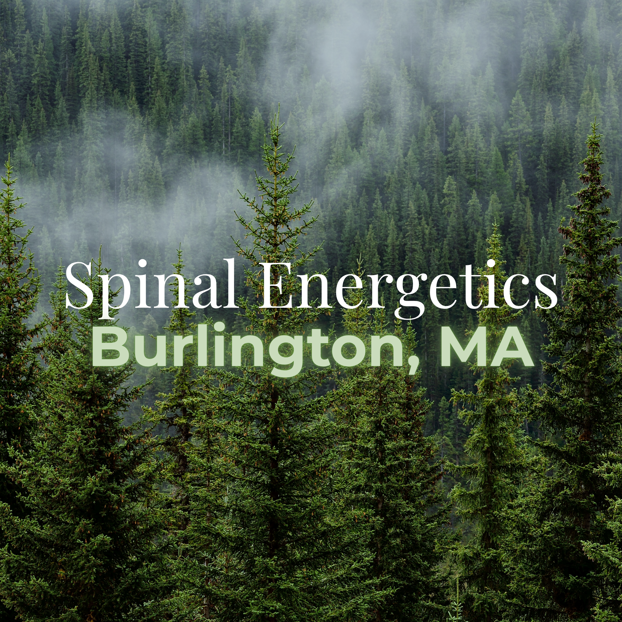 BURLINGTON- Group Spinal Energetics Event