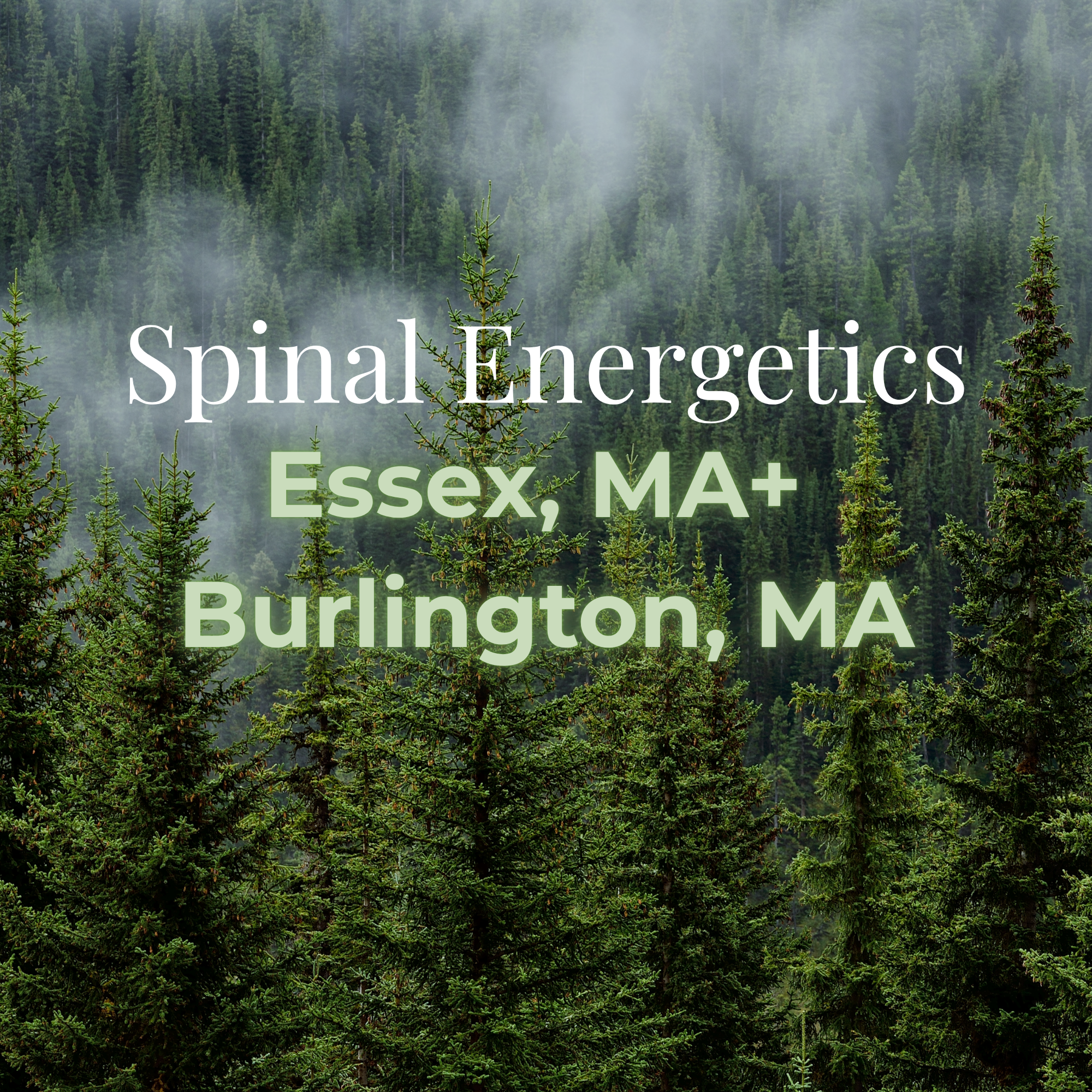 ESSEX - Group Spinal Energetics Event