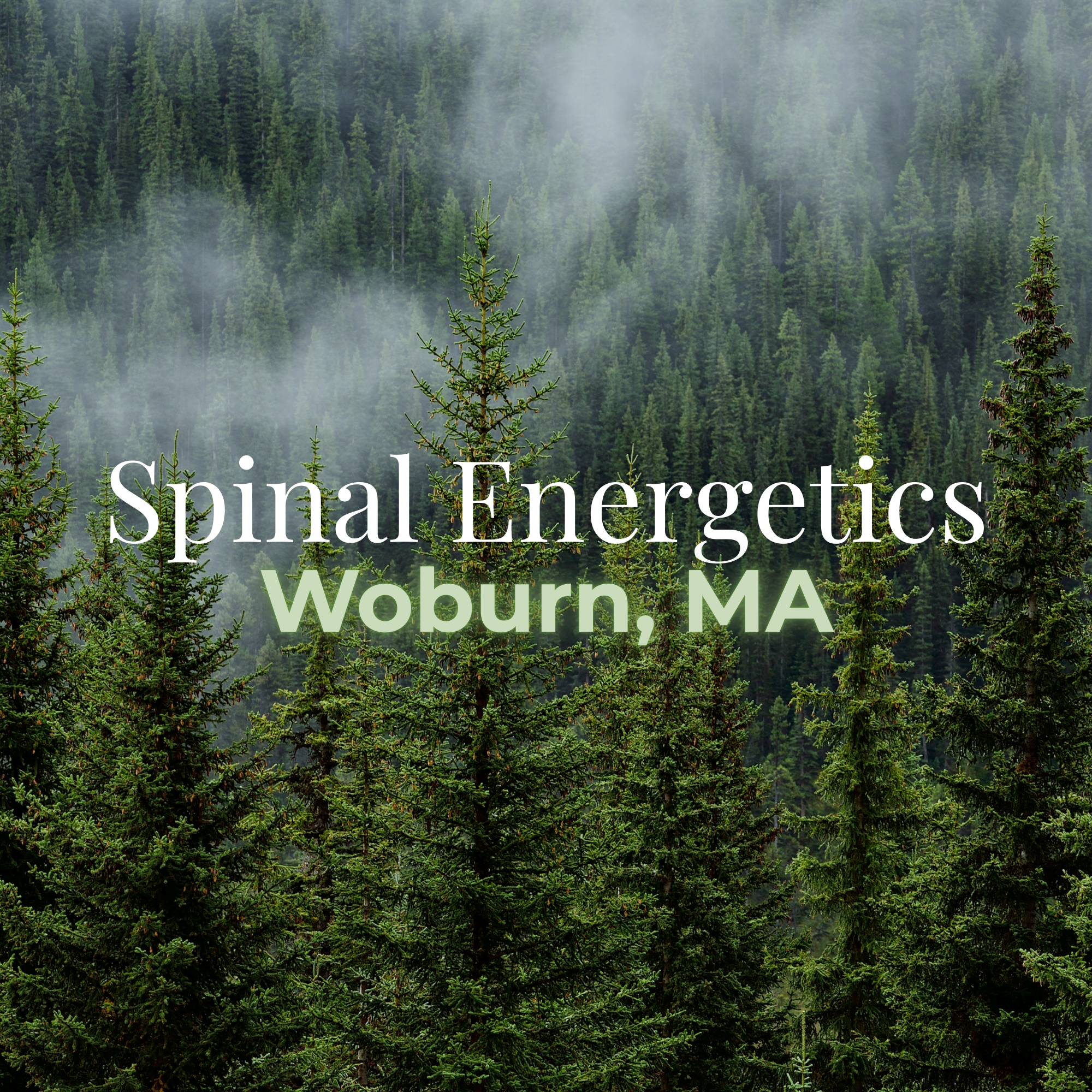 Woburn- Group Spinal Energetics Event 
