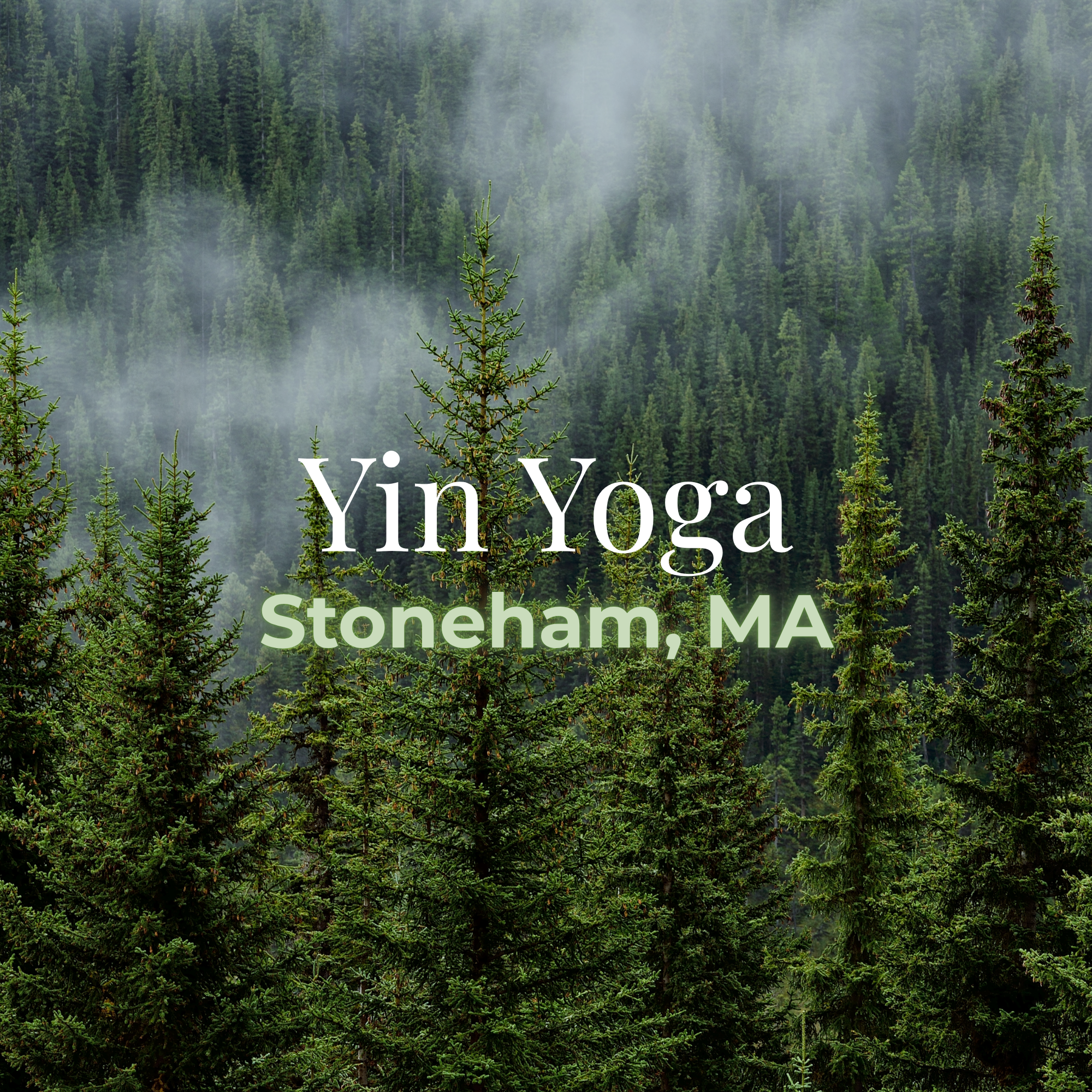 STONEHAM- Yin Yoga 