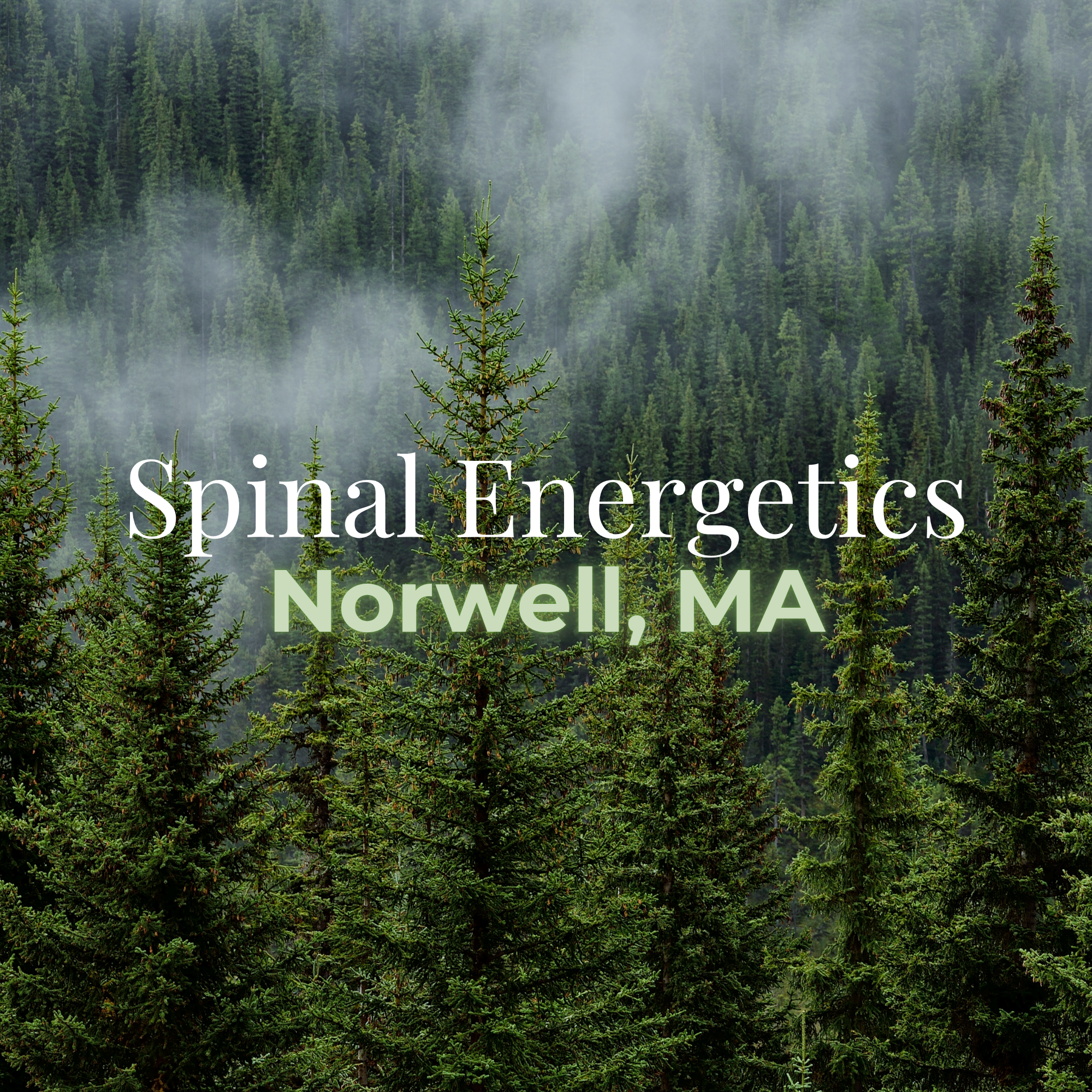 NORWELL- Group Spinal Energetics Event 