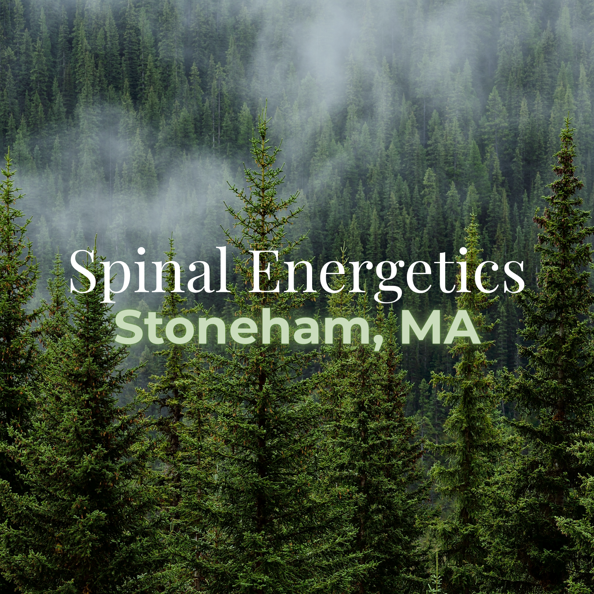 STONEHAM- Group Spinal Energetics + Soundbath 