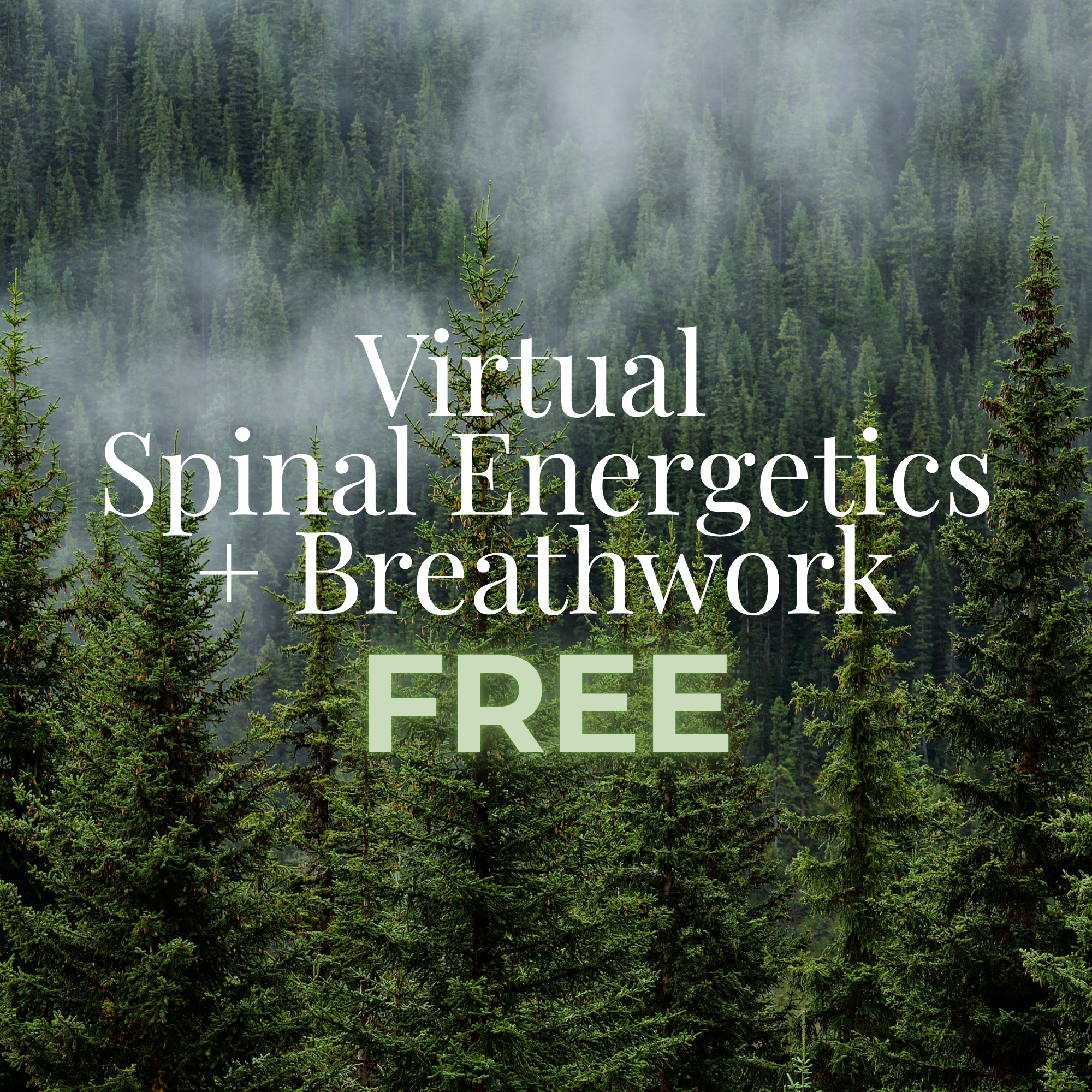 The Missing Piece: Where Nervous System Healing Meets Manifestation