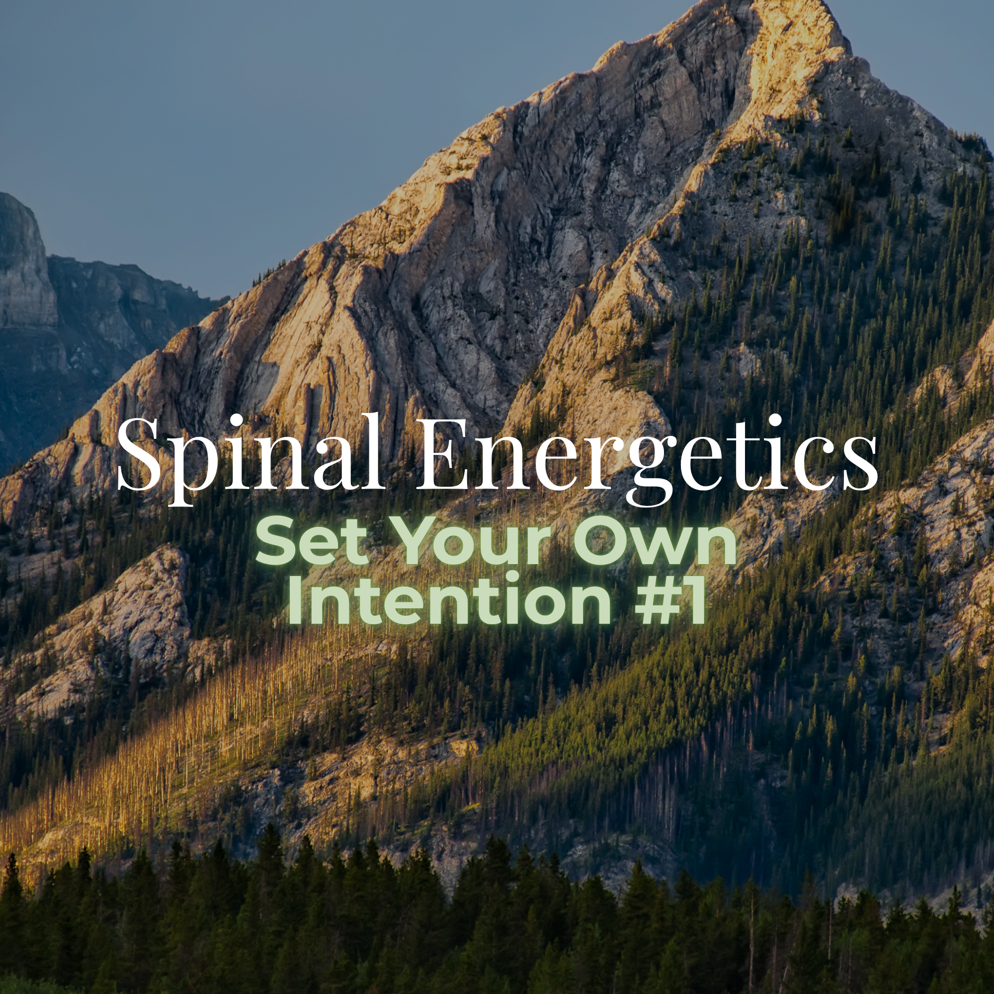 Spinal Energetics Replay: Set Your Own Intention