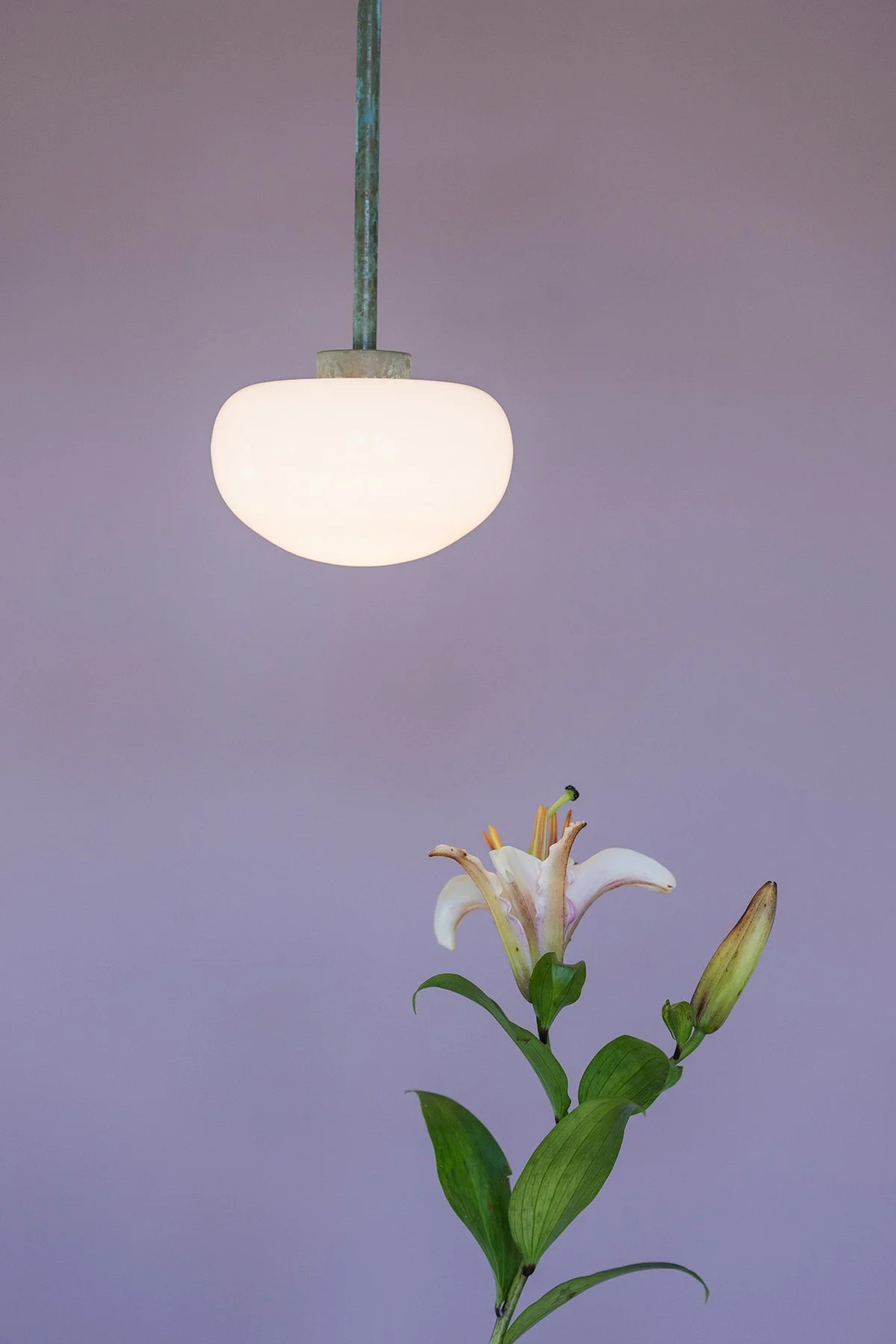 07_Schoenberger_Photography_by_Aaron_Joel_Santos.jpg
