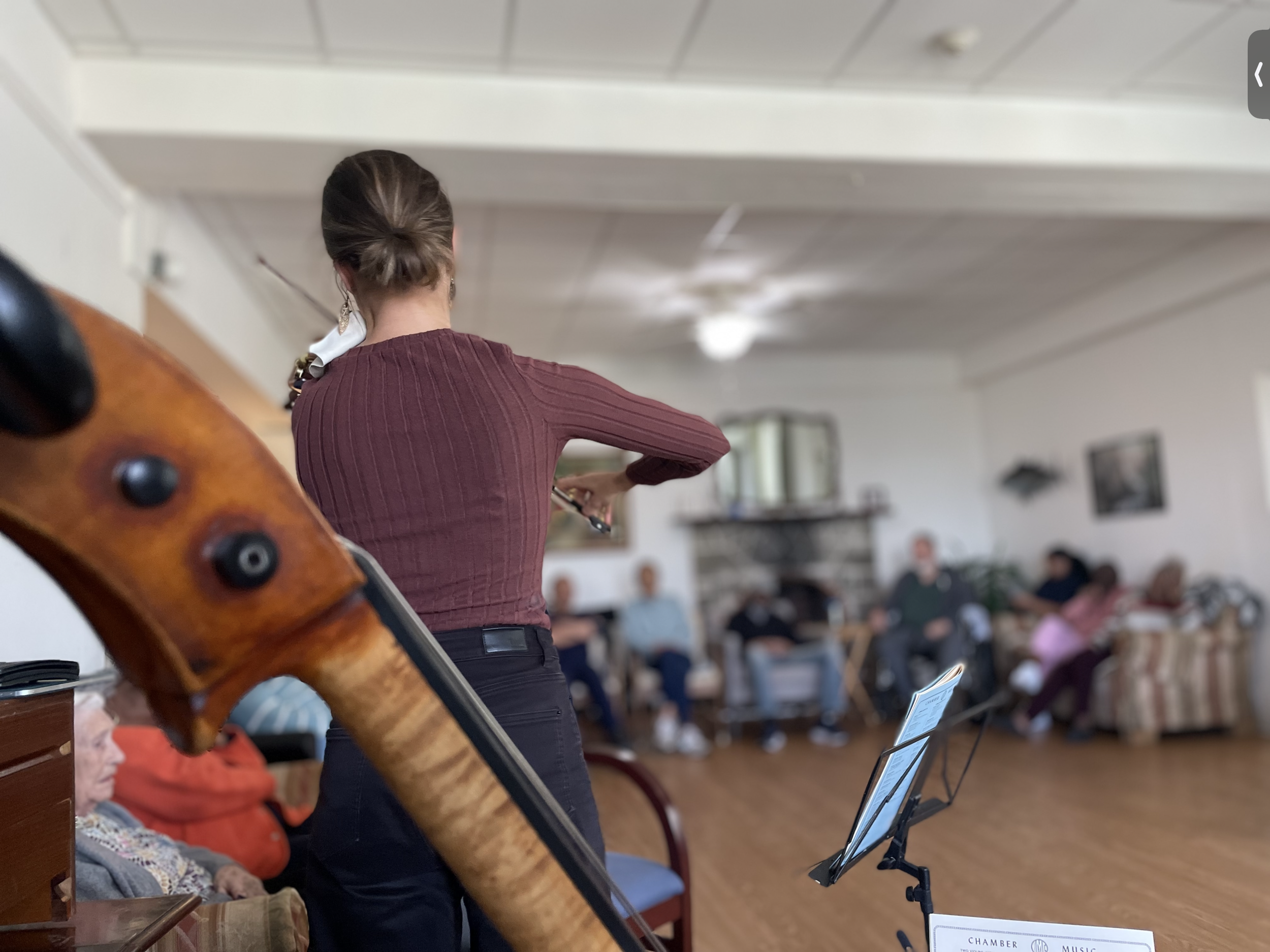 Festival musicians present a performance for residents at Westmeath Nursing Home.