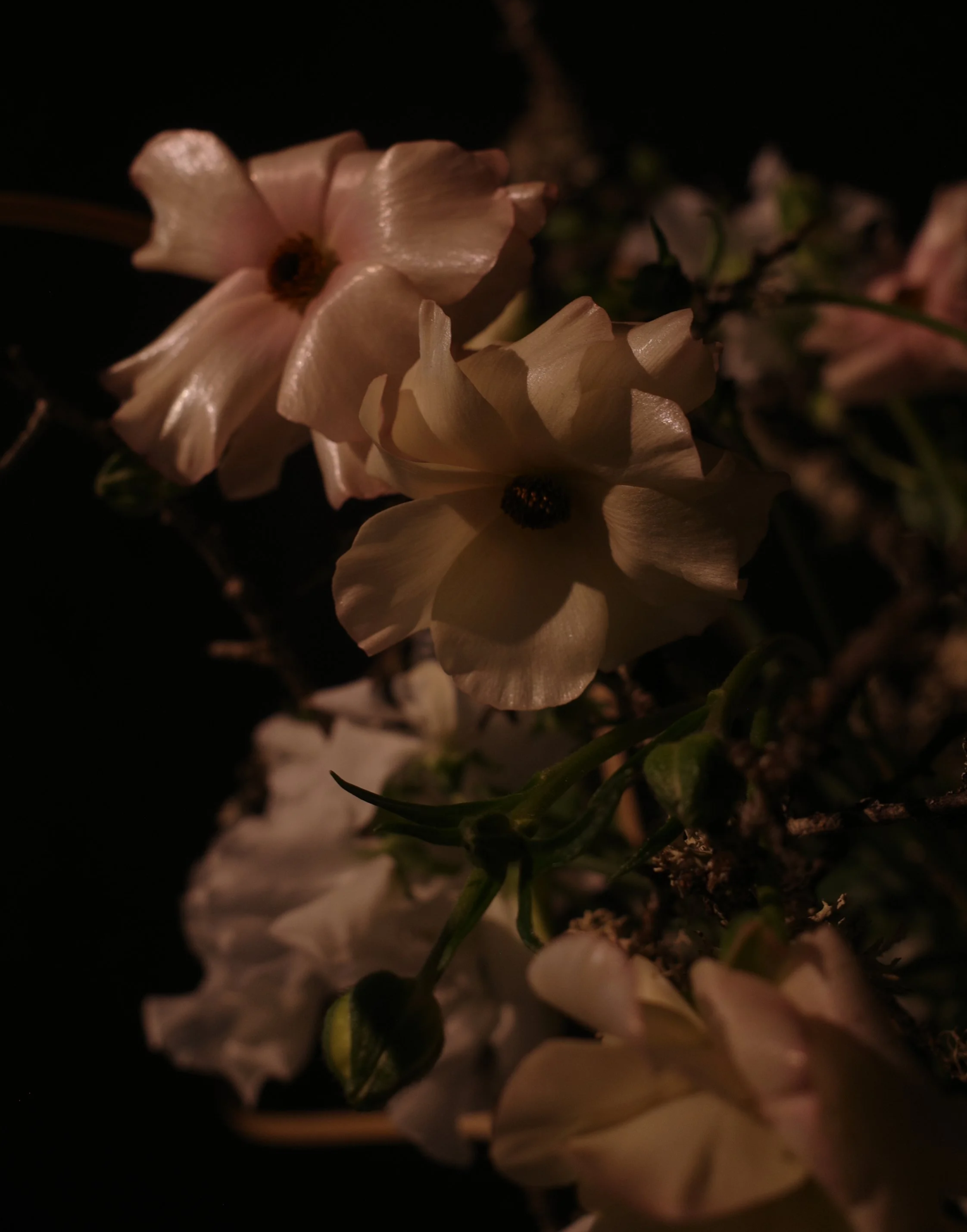 R0031953.png