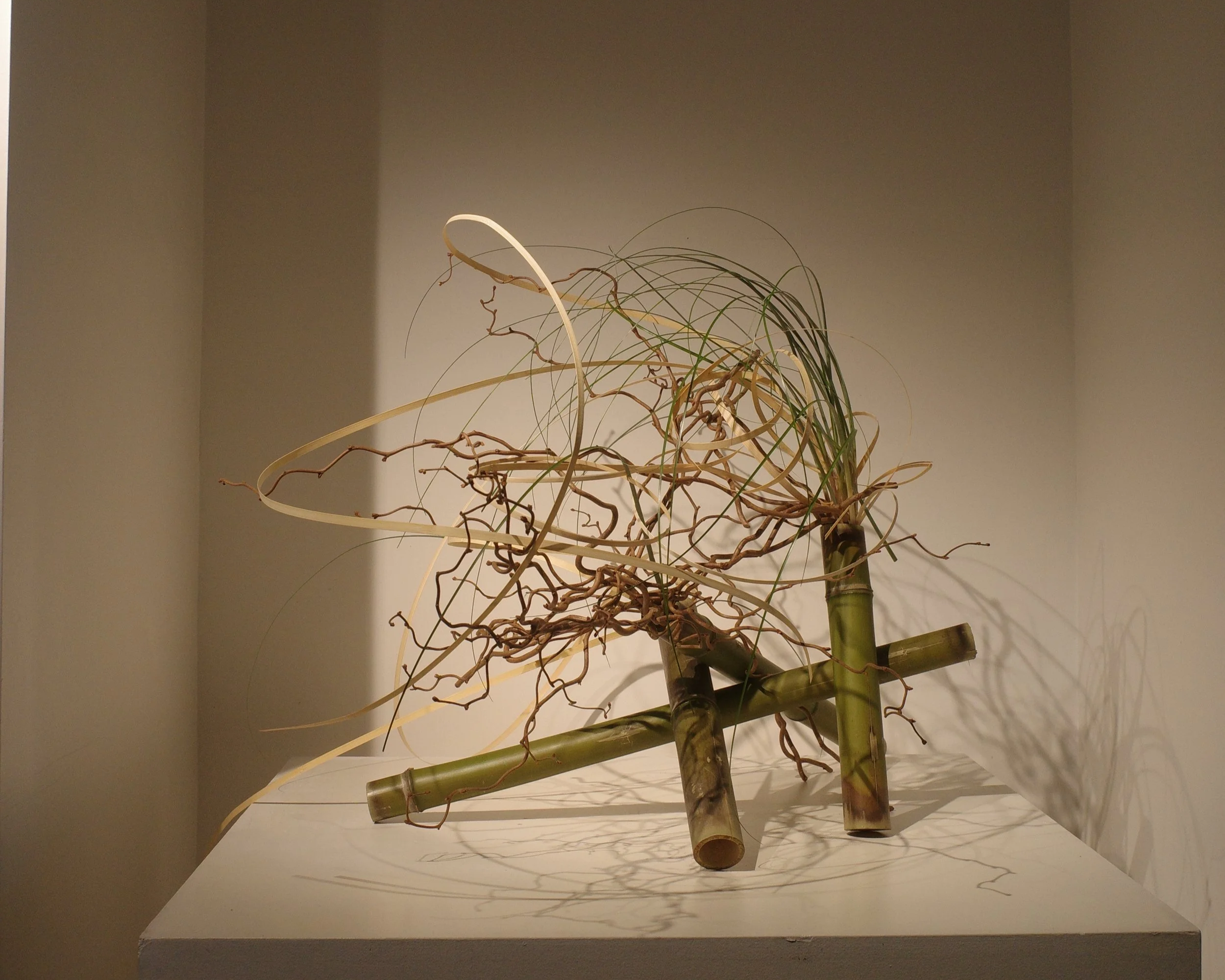 R0037416.png