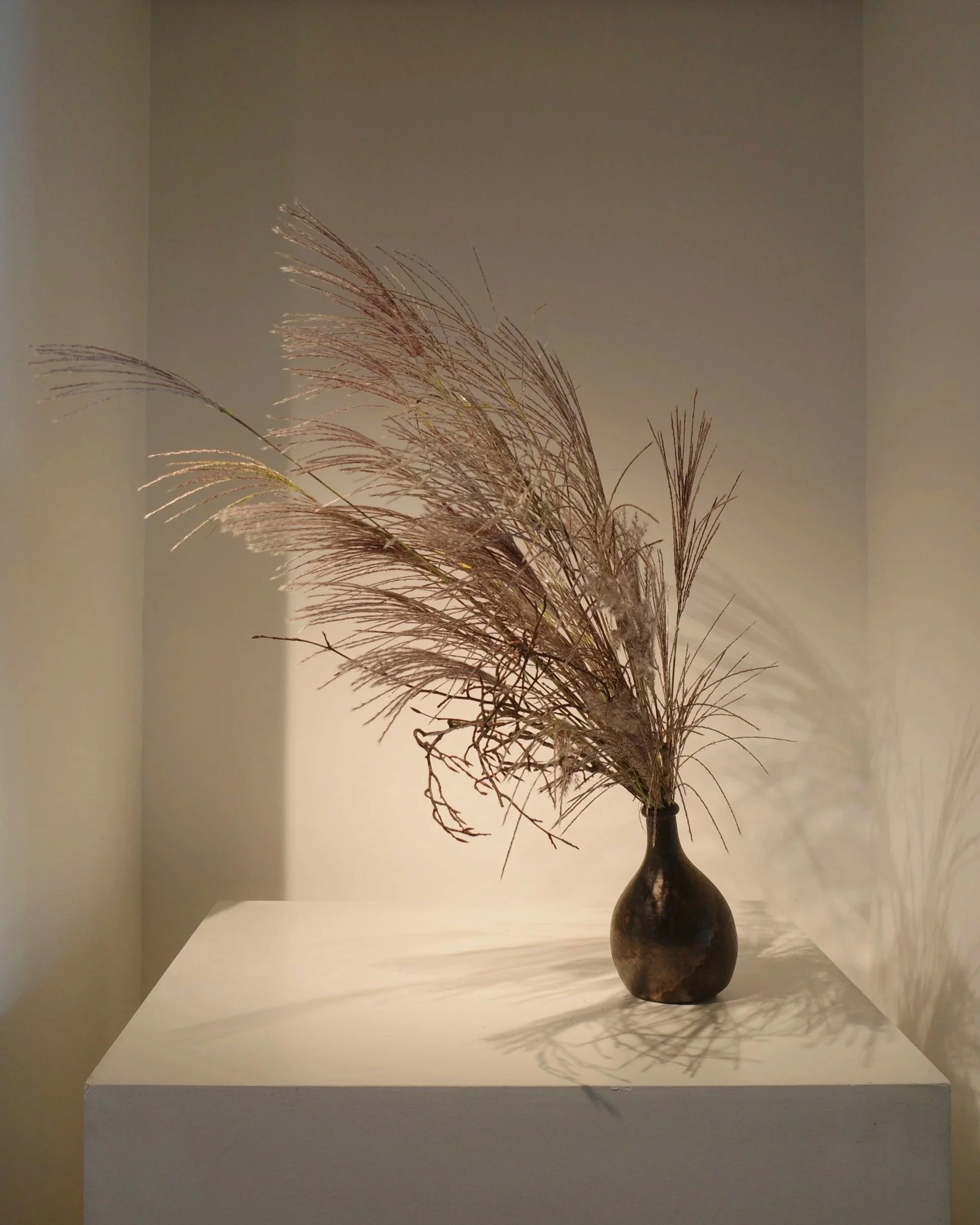 R0042600.jpg