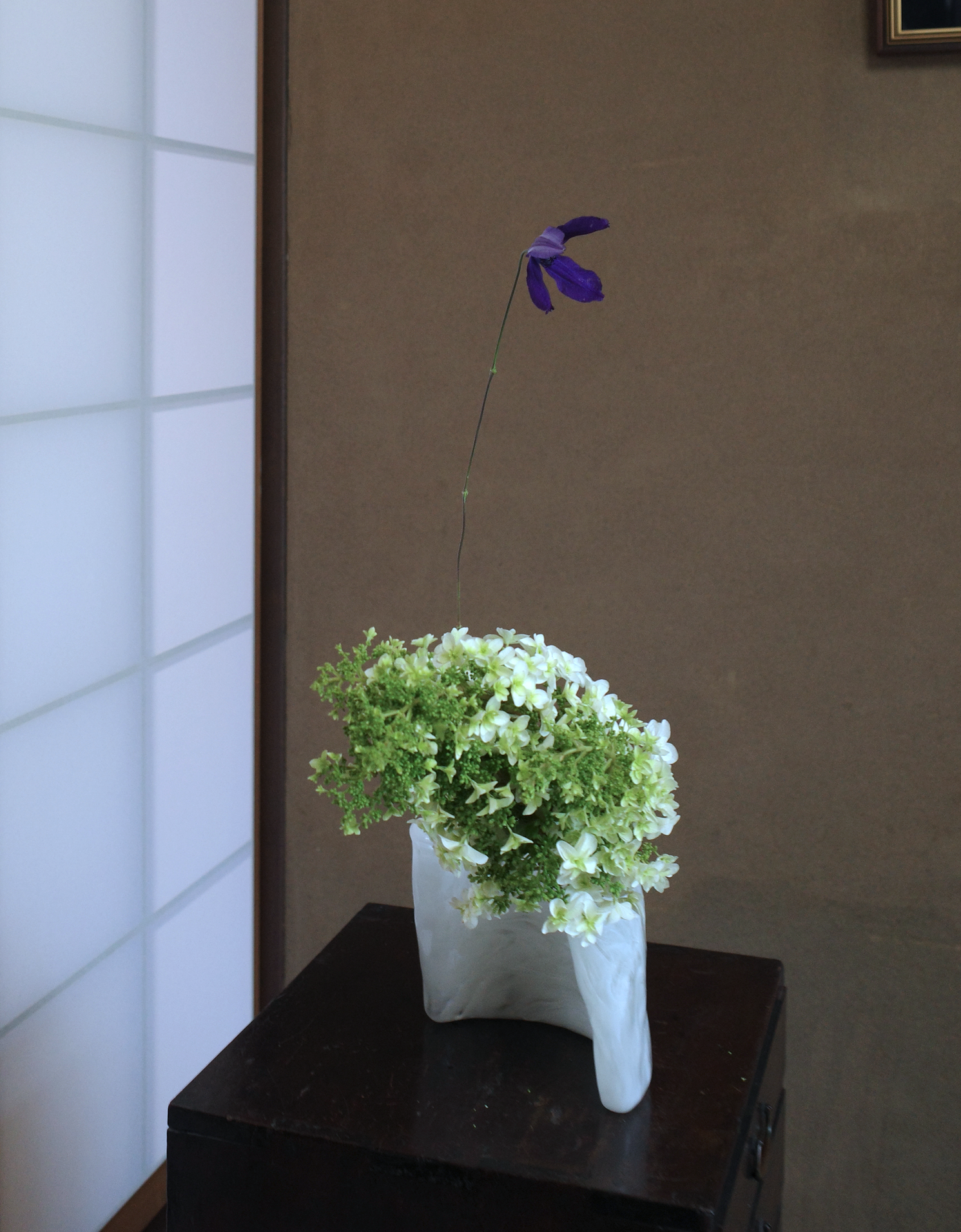 IMG_8631.png