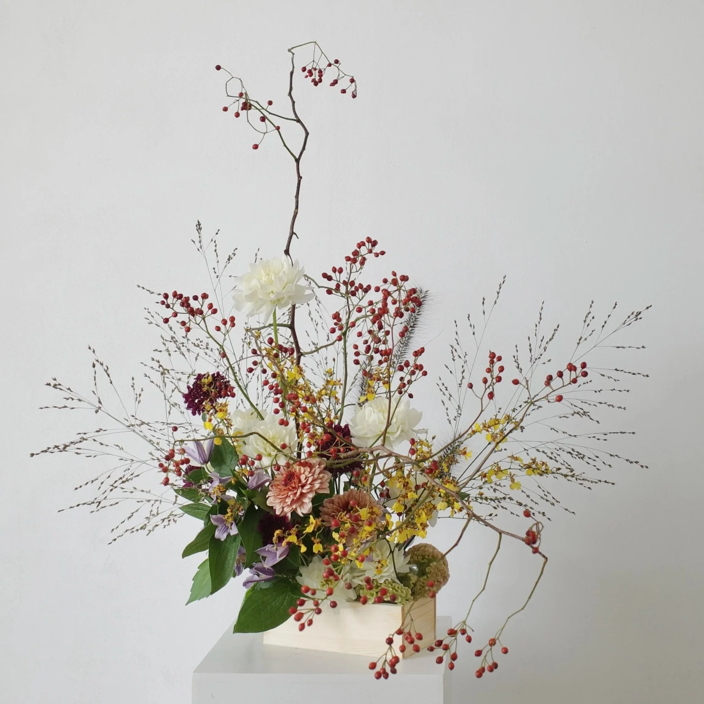 Hako - un petit jardin Zen