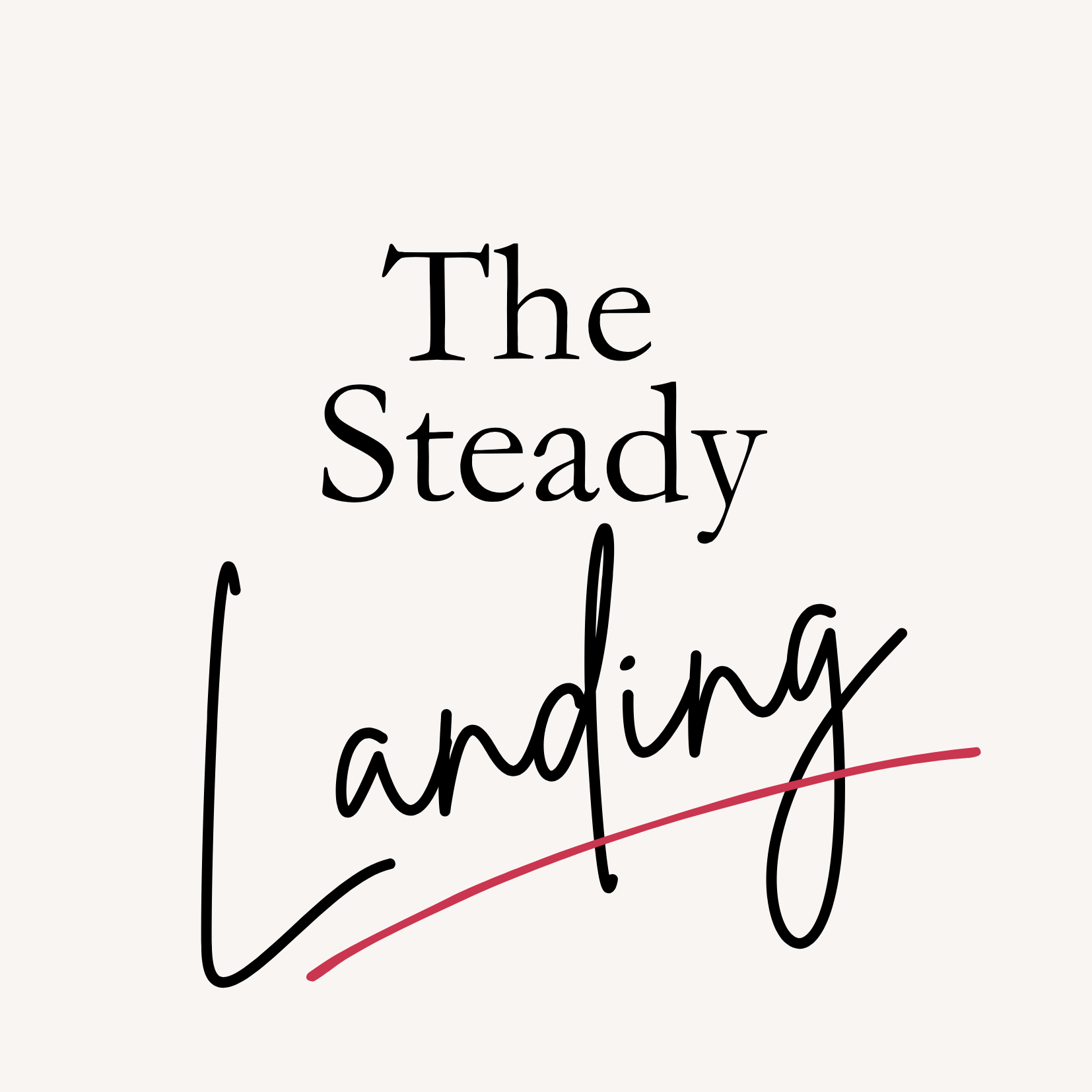 Steady landing (1).png