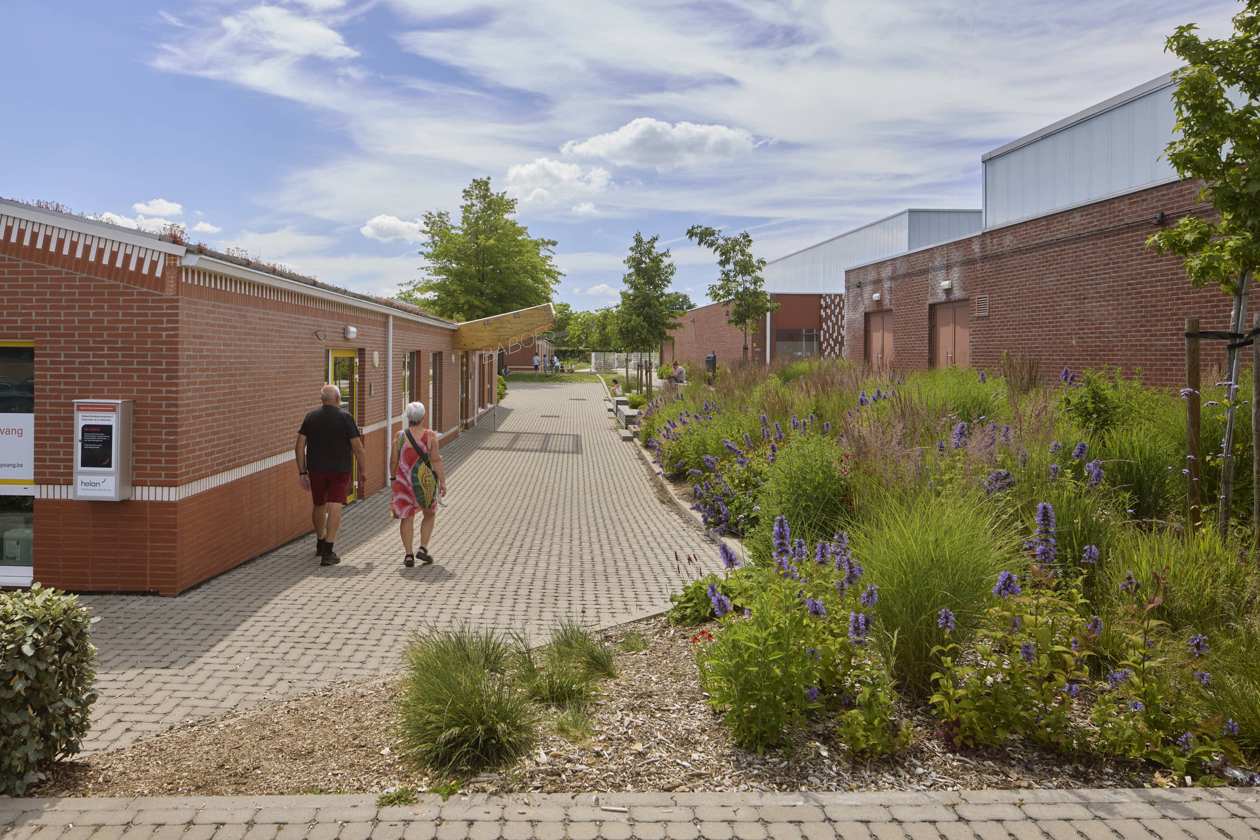 Een groene buitenruimte voor een landelijke schoolsite