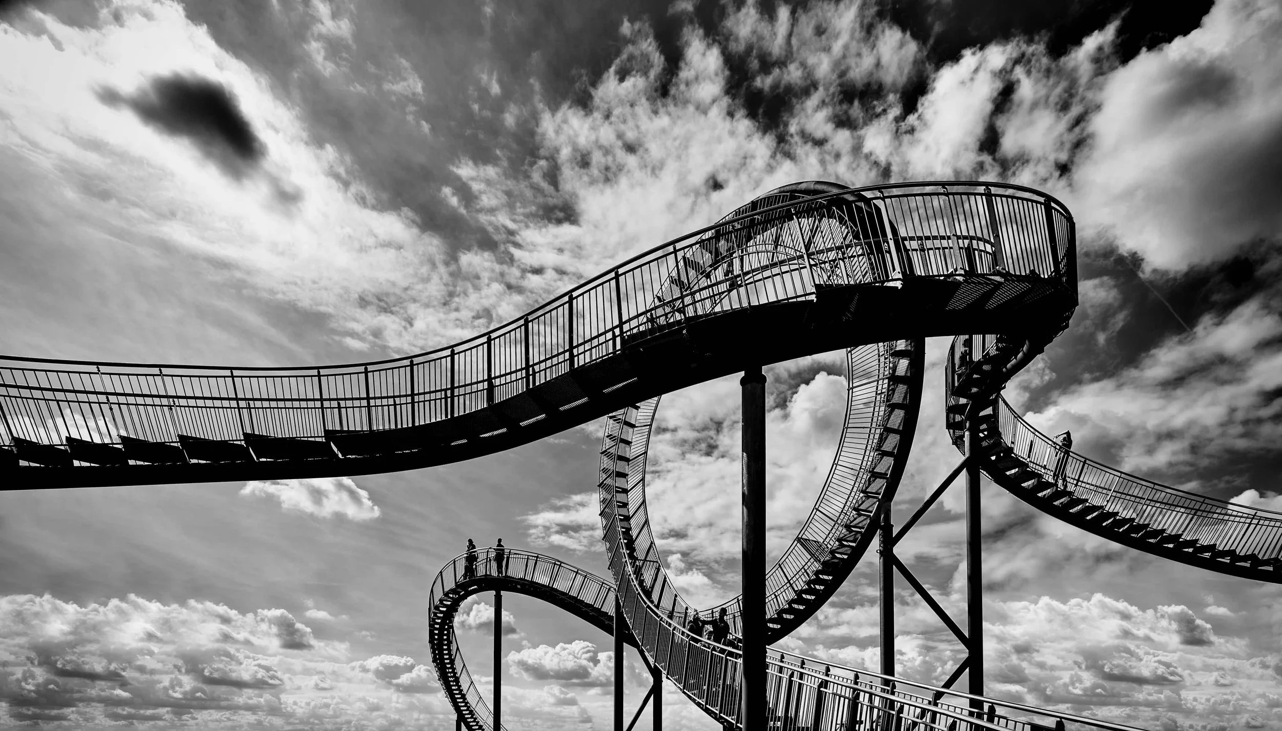 Tiger & Turtle - [x]