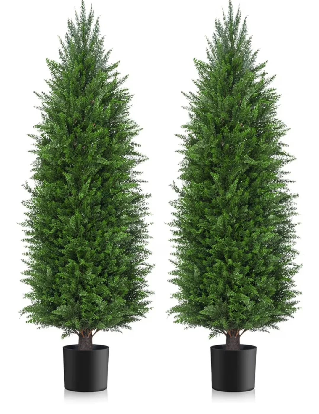 Cedar Topiary Tree 4ft