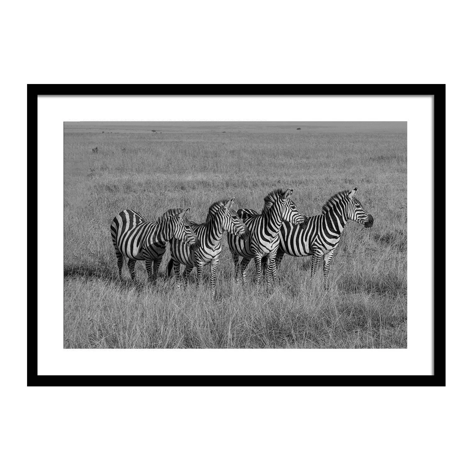 black white_Aligned_framed.jpg