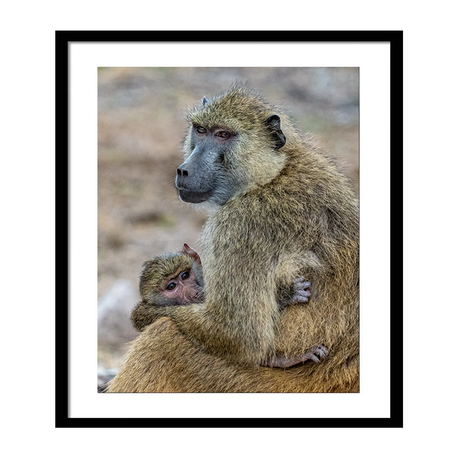 call of the wild_0000s_0000s_0010_Beckon_framed.jpg