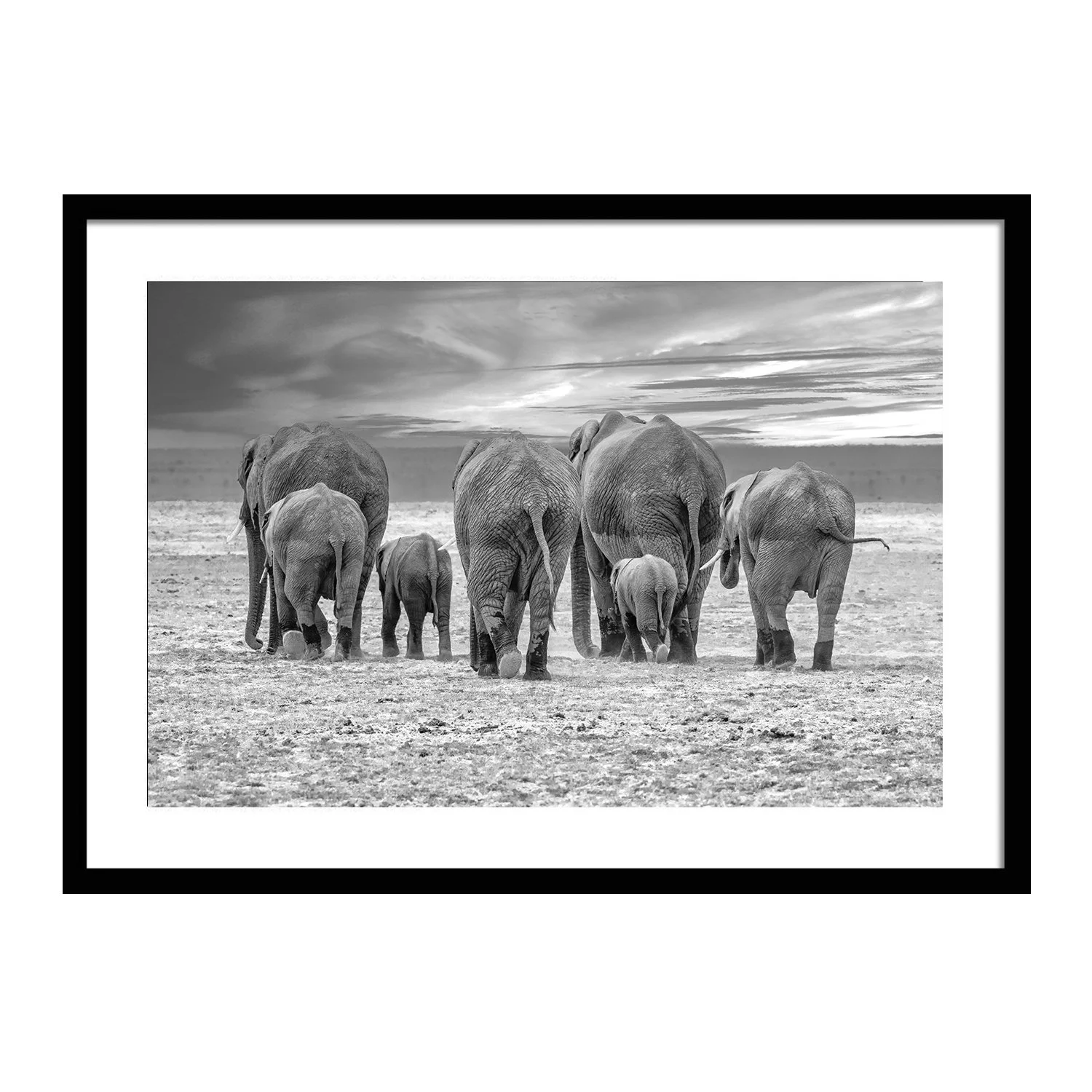 black white_Homeward Bound _framed.jpg