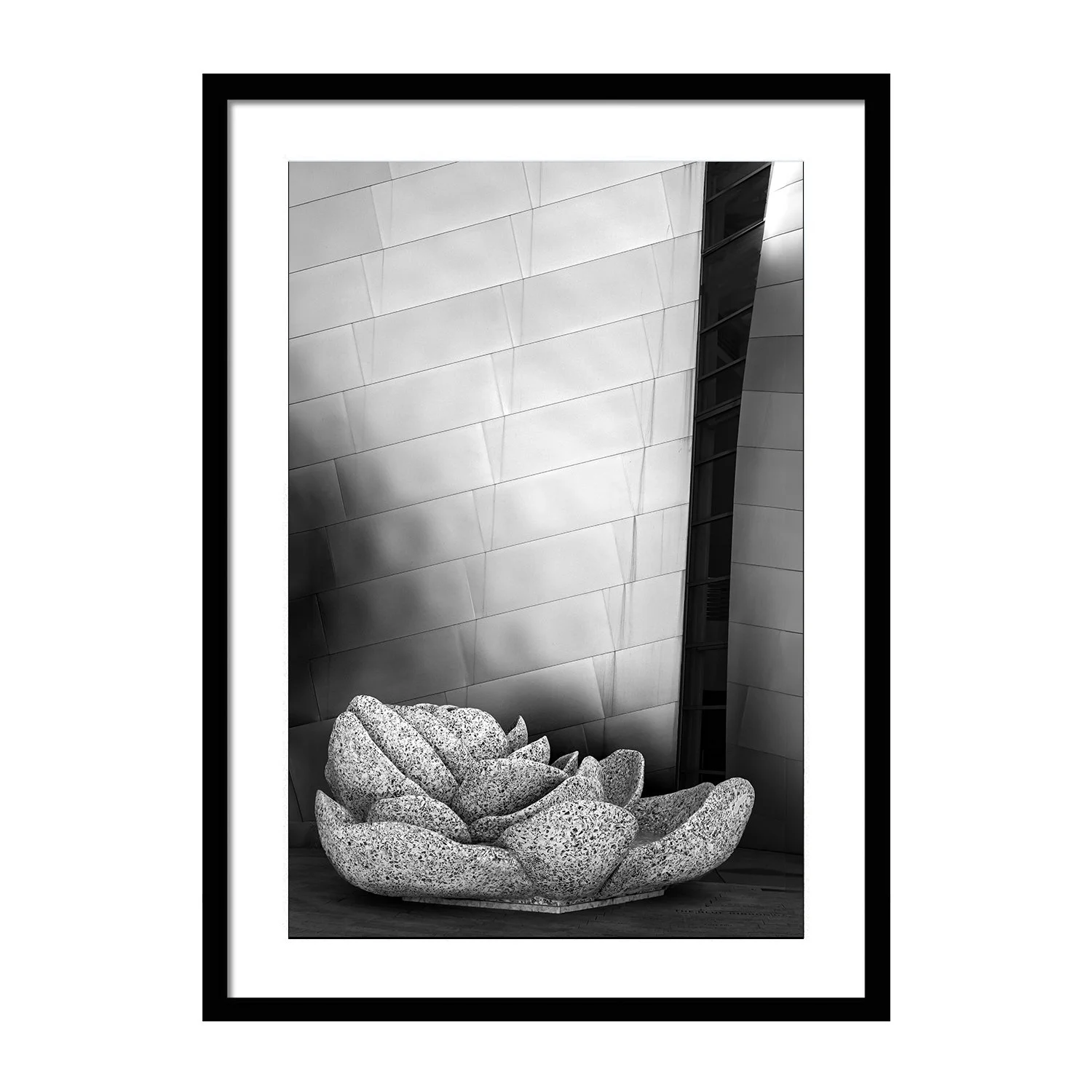 black white_Rebirth_framed.jpg