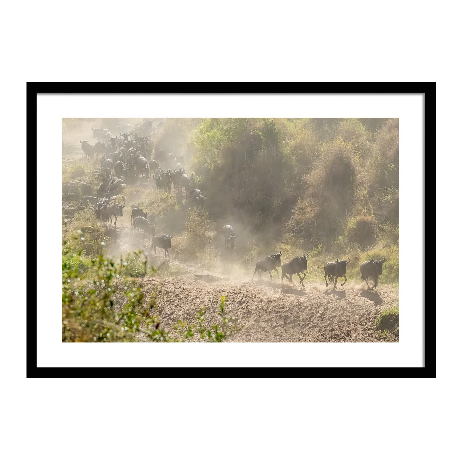 call of the wild_0000s_0000s_0017_Surge_framed.jpg