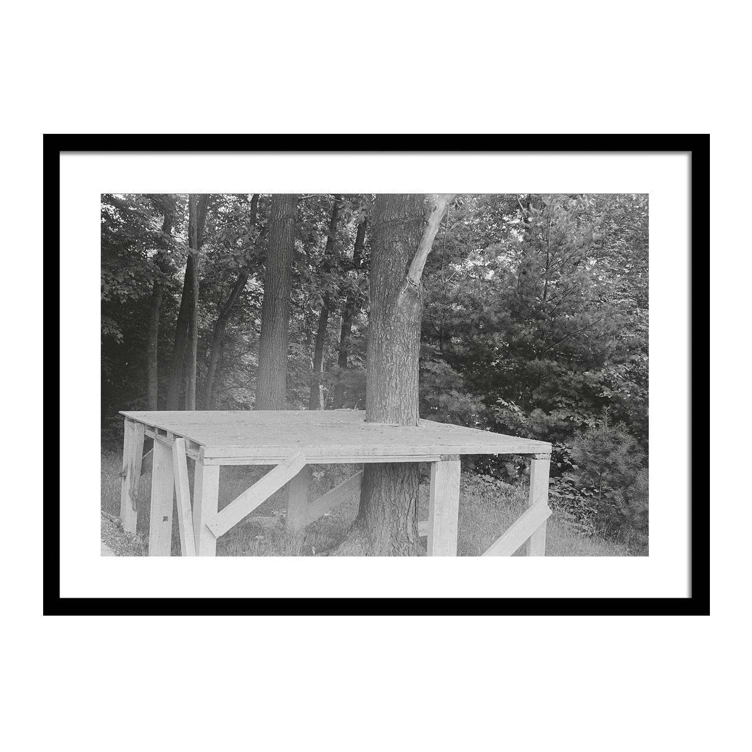 black white_My First Photograph_framed.jpg
