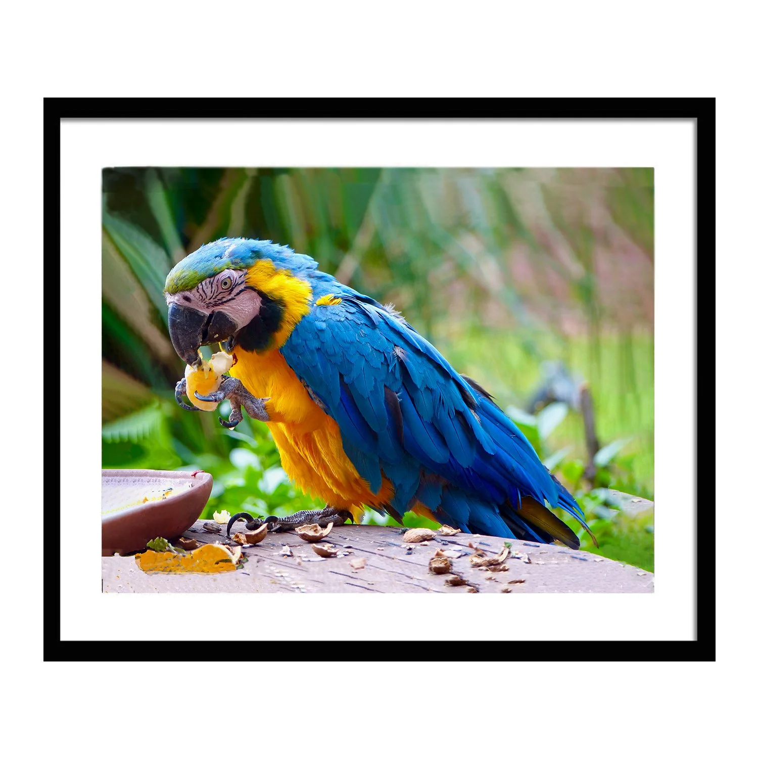 feathered friends_Lunchtime_framed.jpg