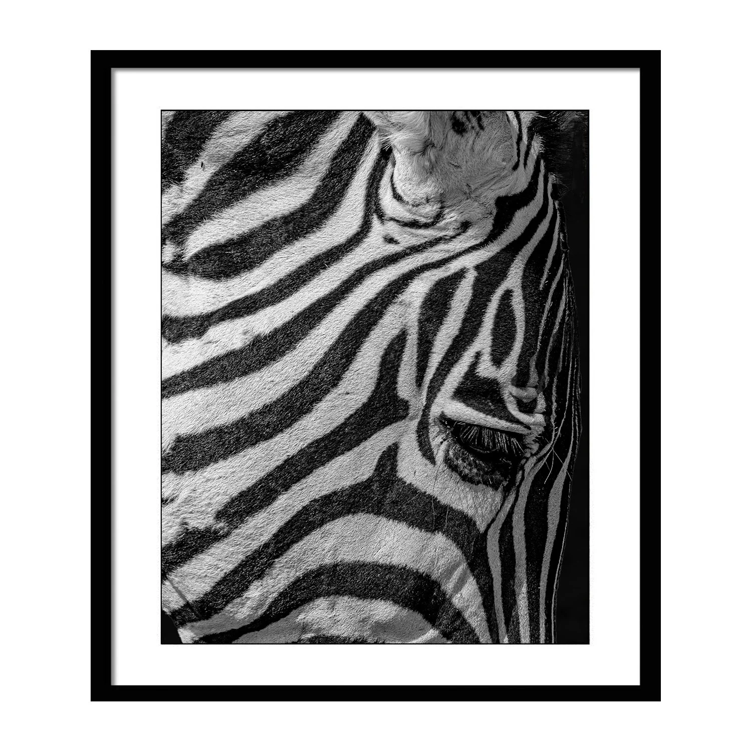 black white_Modline_framed.jpg