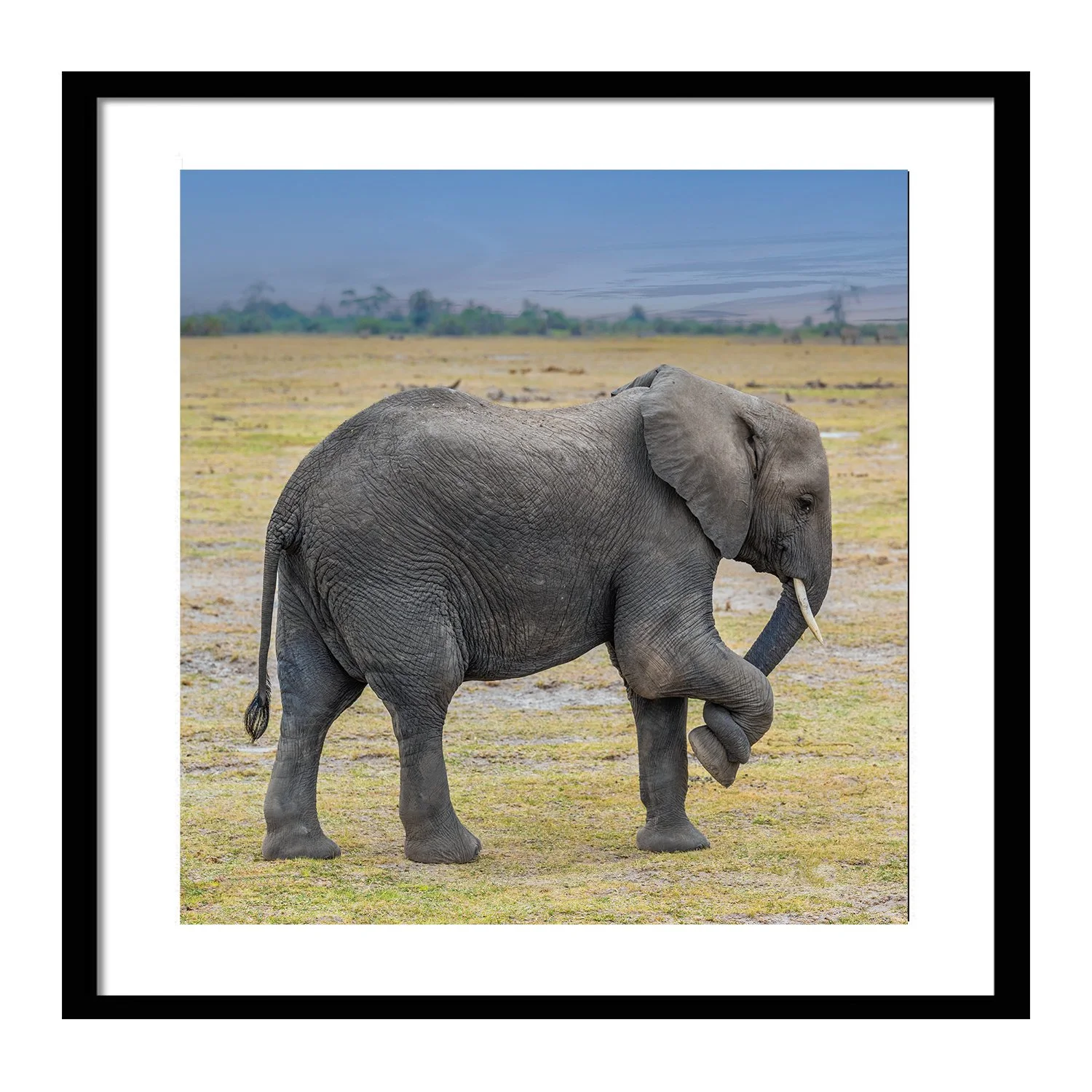 call of the wild_0000s_0000s_0001_Namaste_framed.jpg