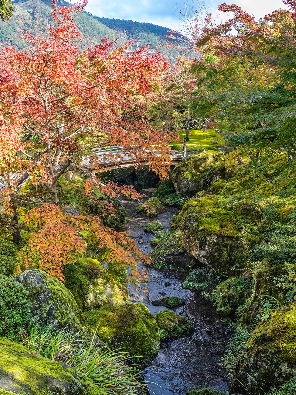 japan_Bridge-to-Autumn_no-border.png