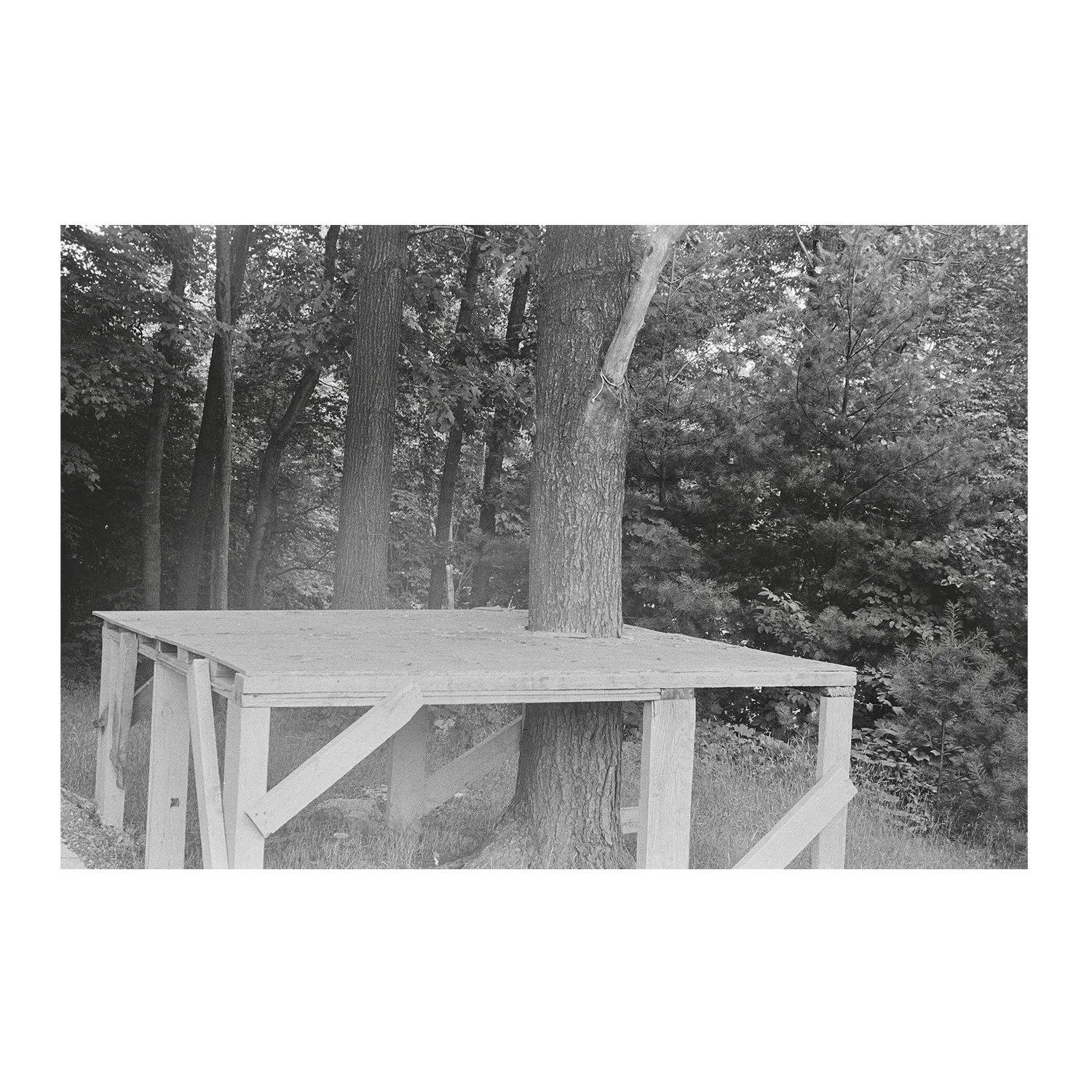 My First Photograph!