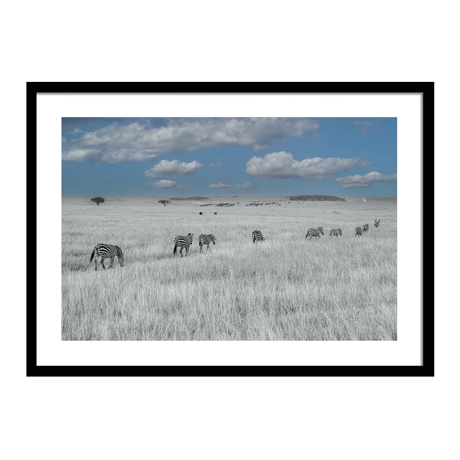 call of the wild_0000s_0000s_0016_In Stride_framed.jpg