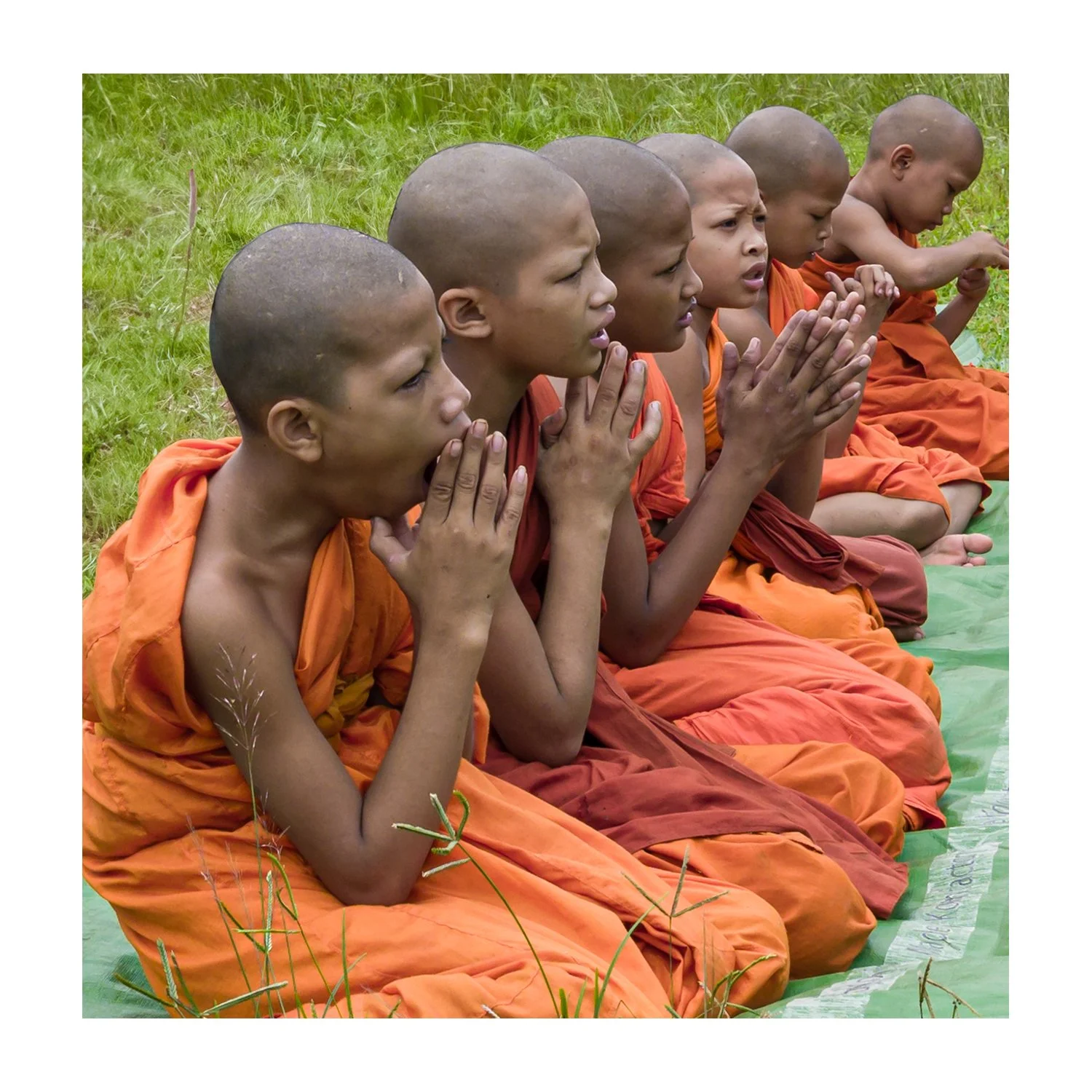 Devotion and Distraction