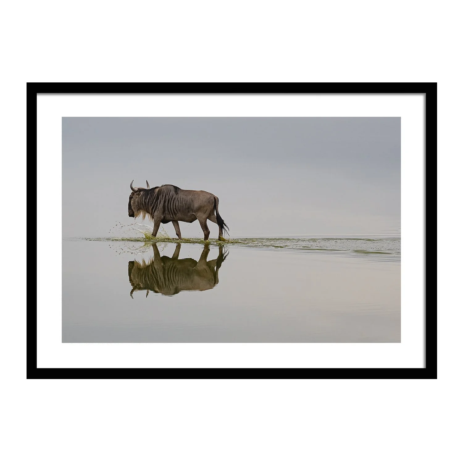 call of the wild_0000s_0000s_0018_Shadow Walker_framed.jpg