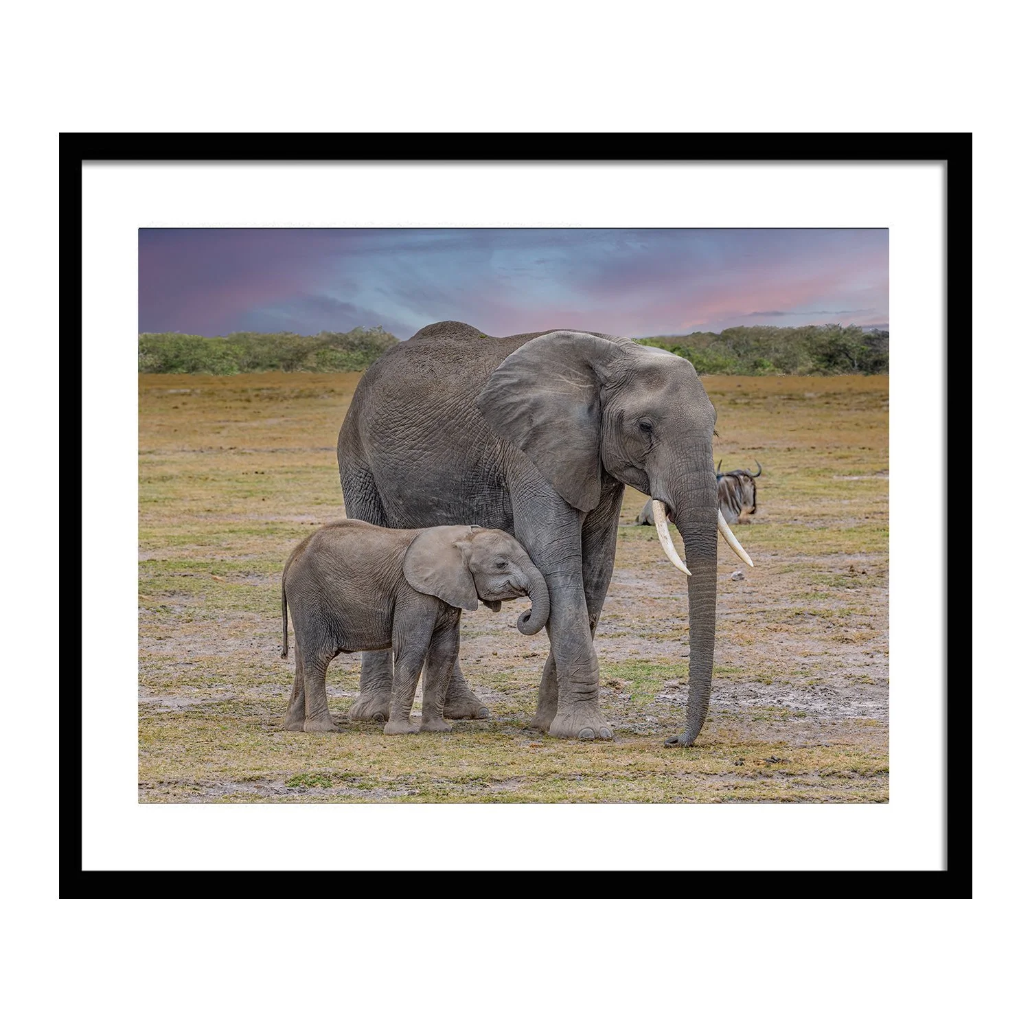 call of the wild_0000s_0000s_0007_Heartline_framed.jpg