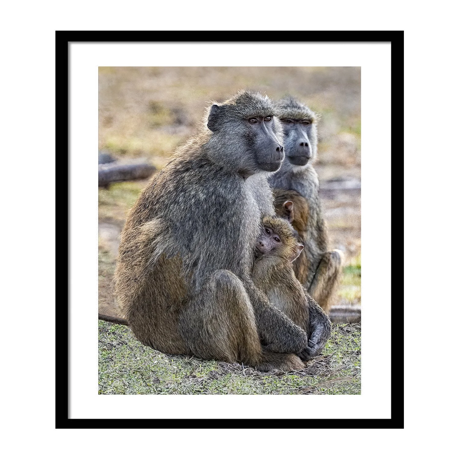 call of the wild_0000s_0000s_0011_We Time_framed.jpg