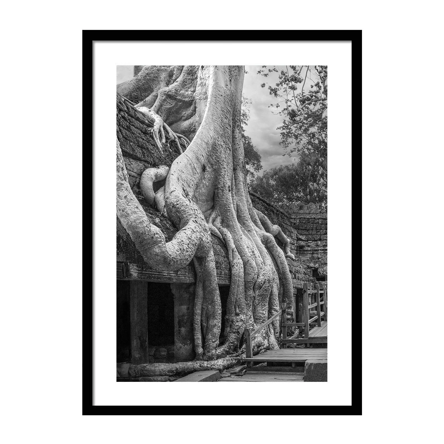 black white_Tangle and Flow_framed.jpg