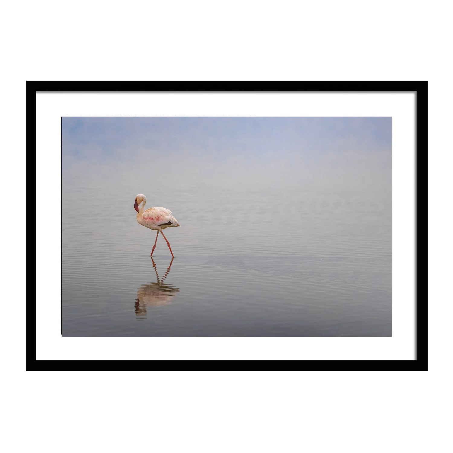 feathered friends_Afternoon Stroll_framed.jpg